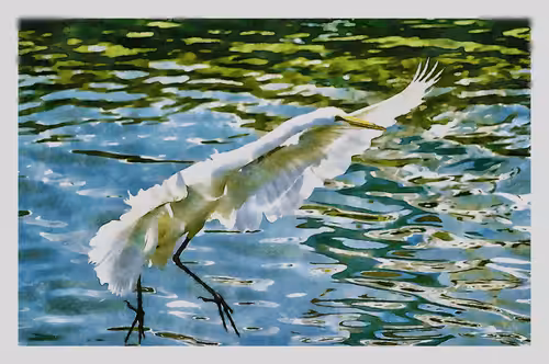 Watercolored Photography: Watercolored 064