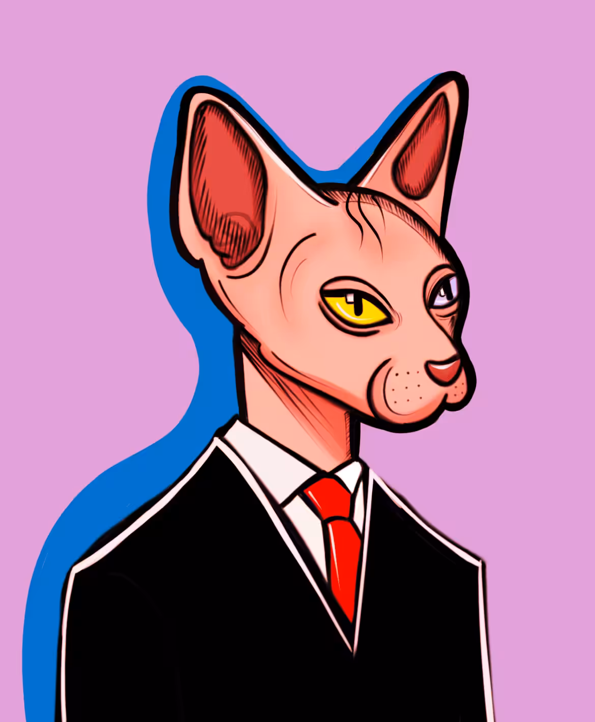 Gangster Sphynx cat #4