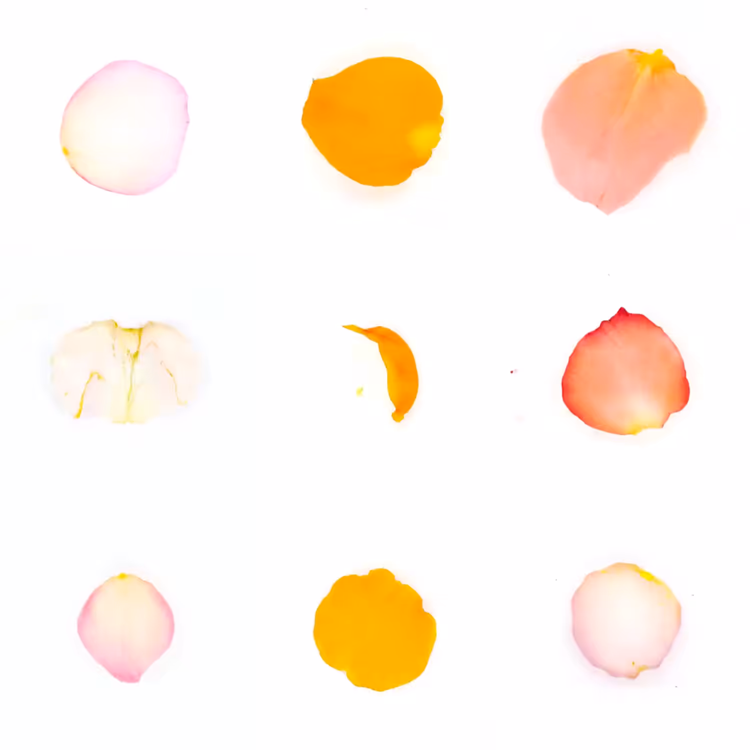 Infinite Petals 3x3#20272