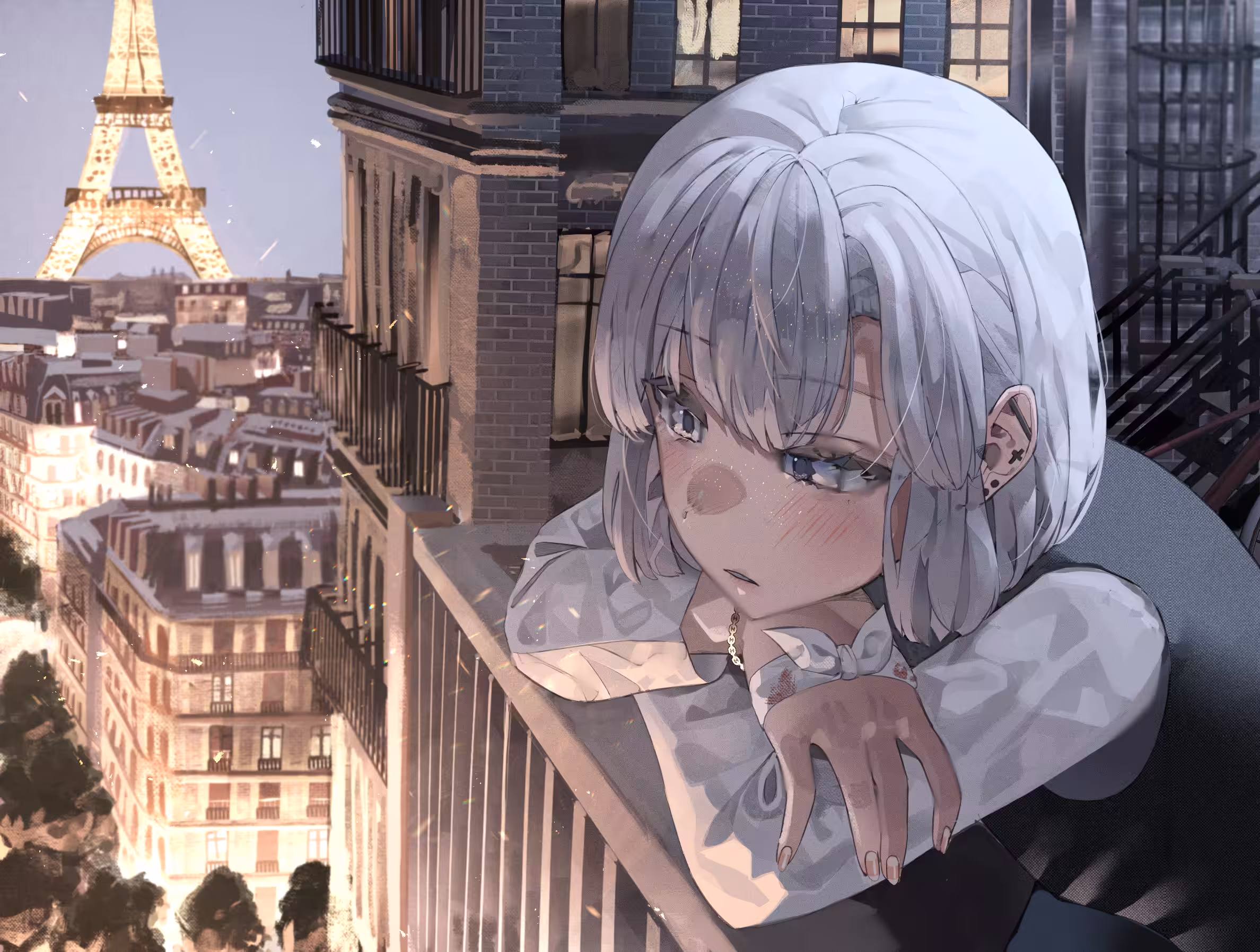 Paris on Dawn