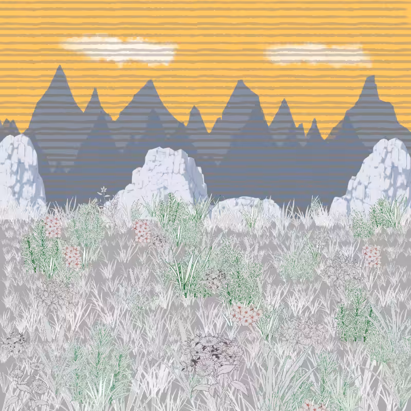 Mountain Meadows #3