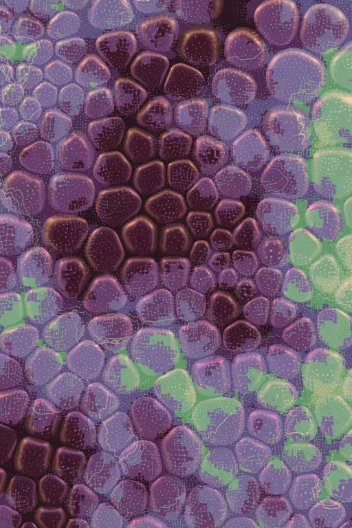 Vitreous #8