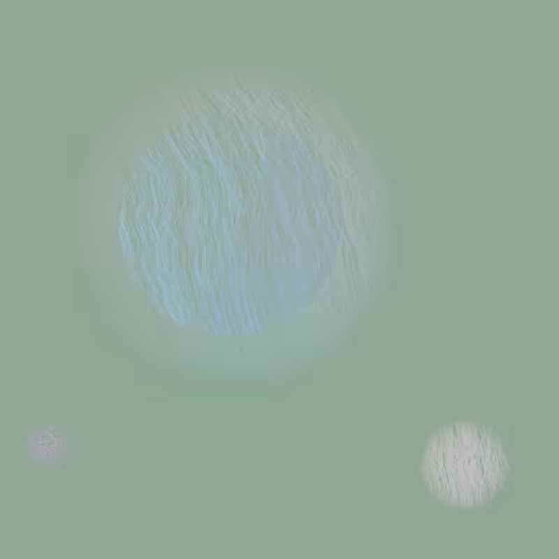 Orbit #73