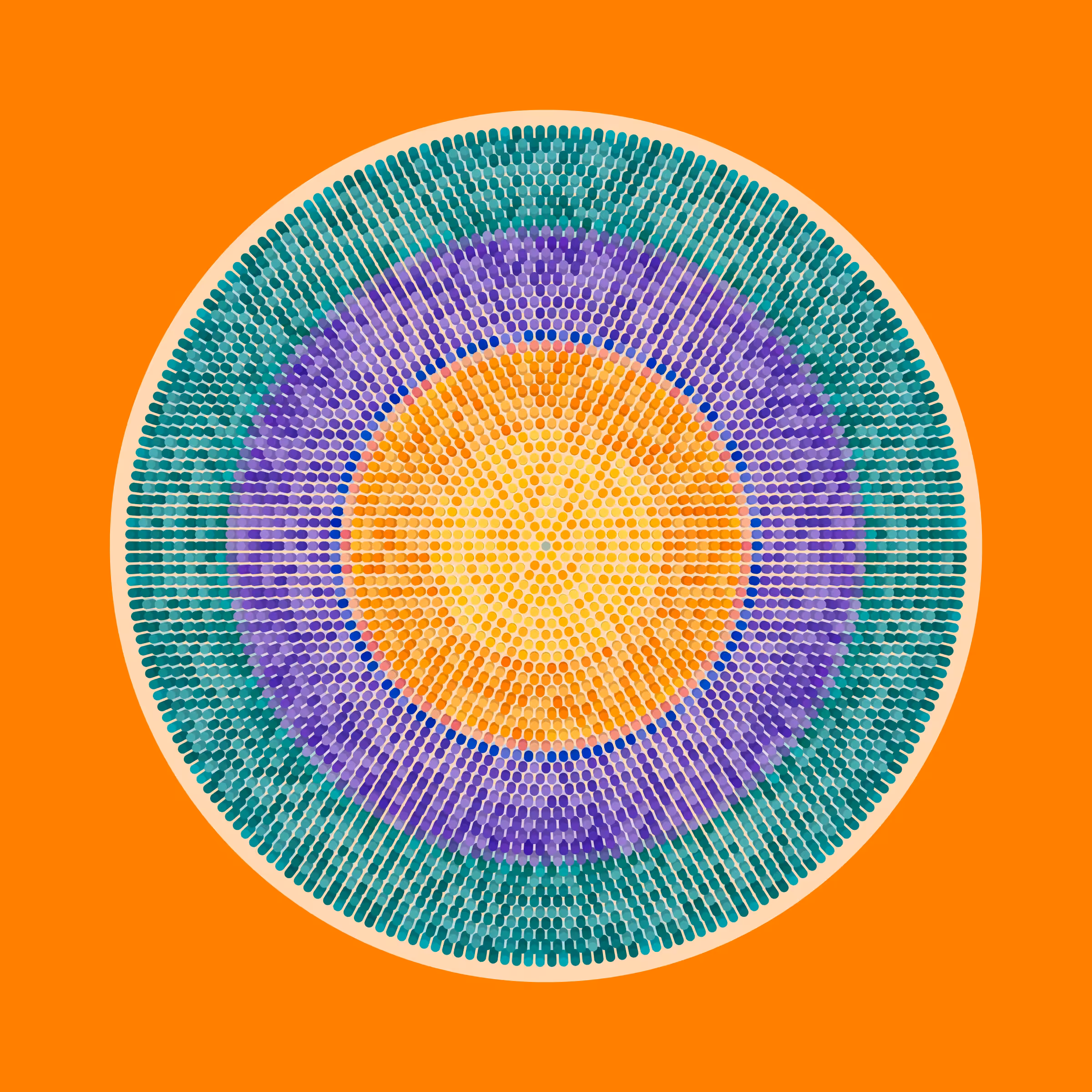 Transitions #684