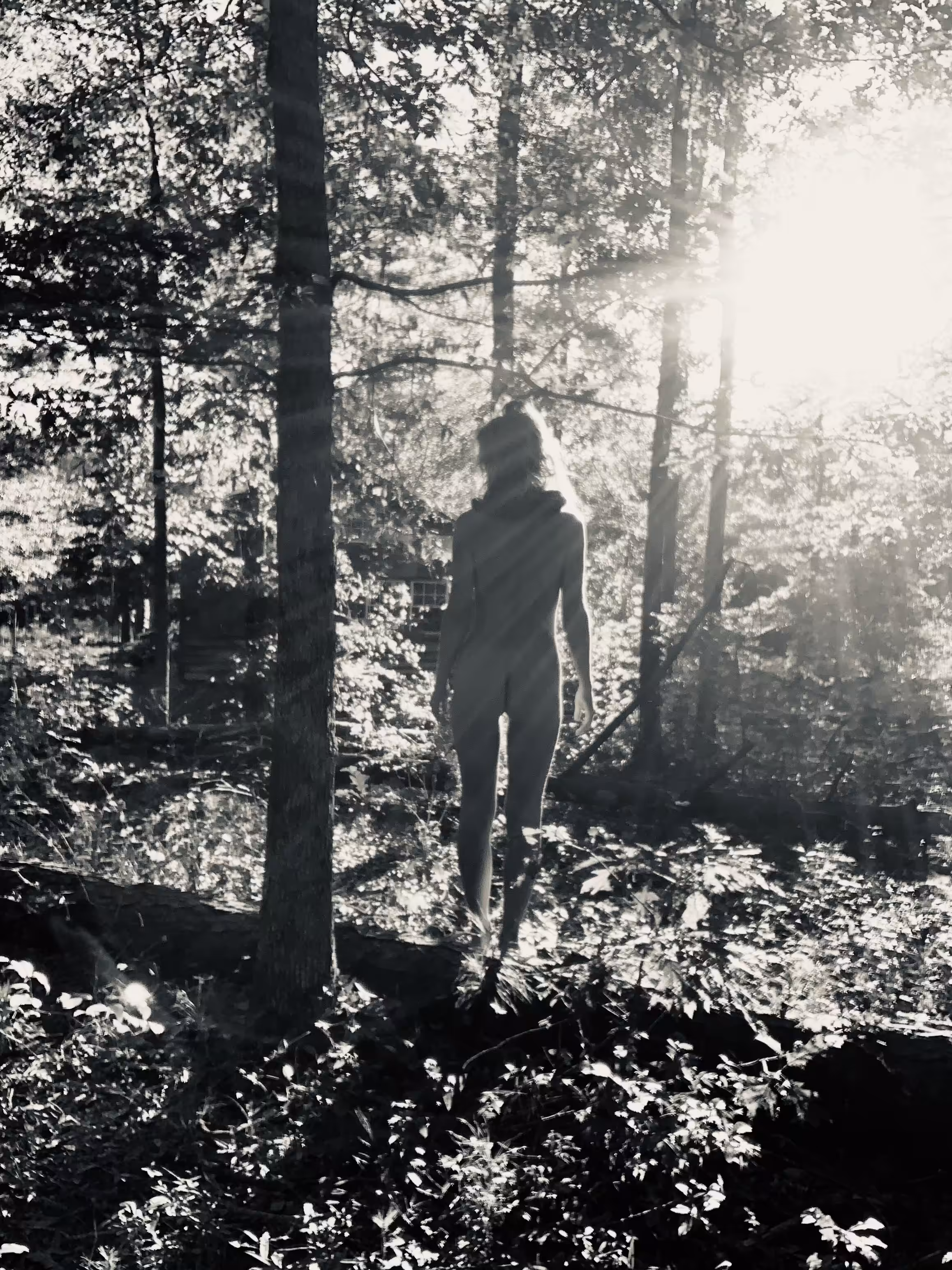 Forest Bathing
