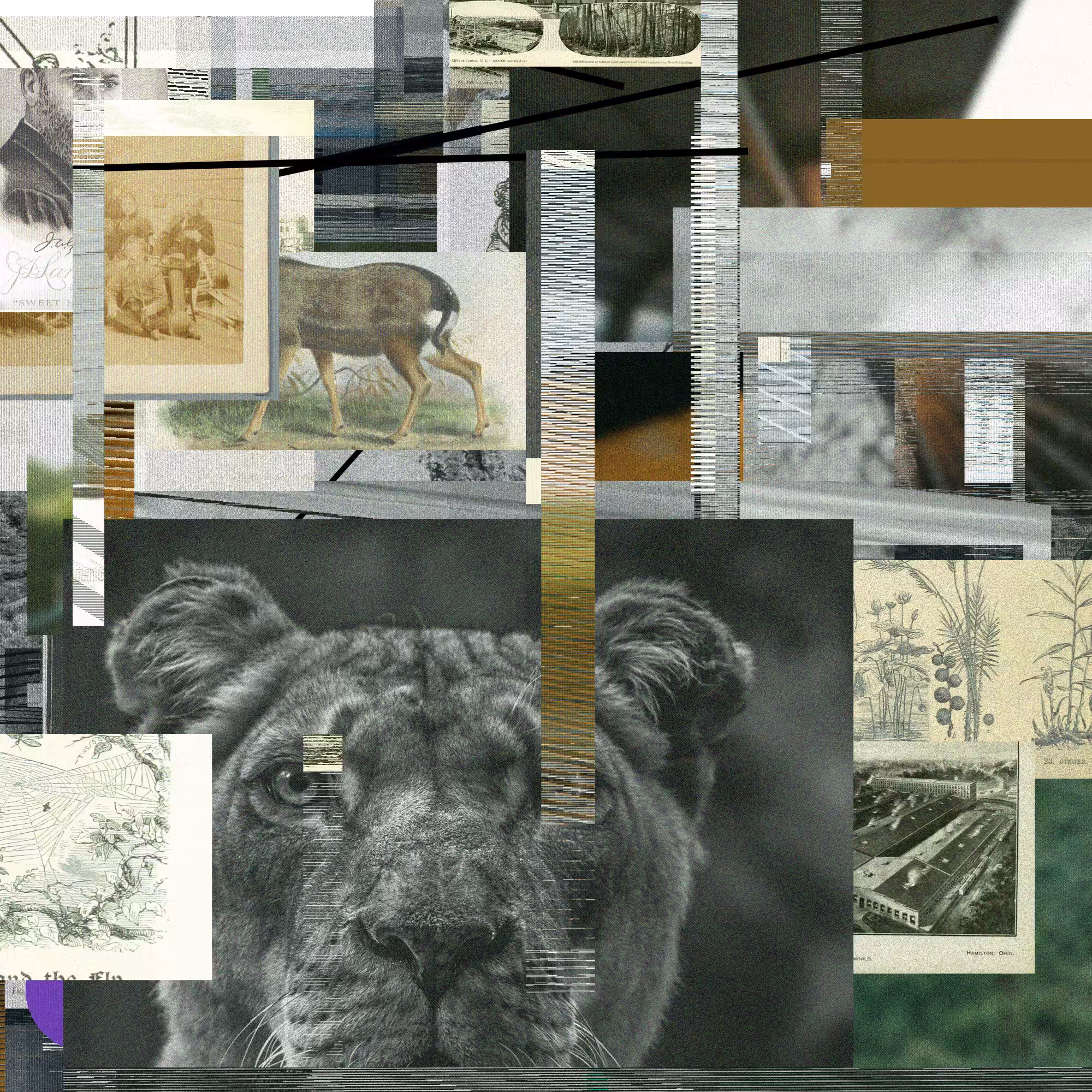 Unconscious Collages #1609