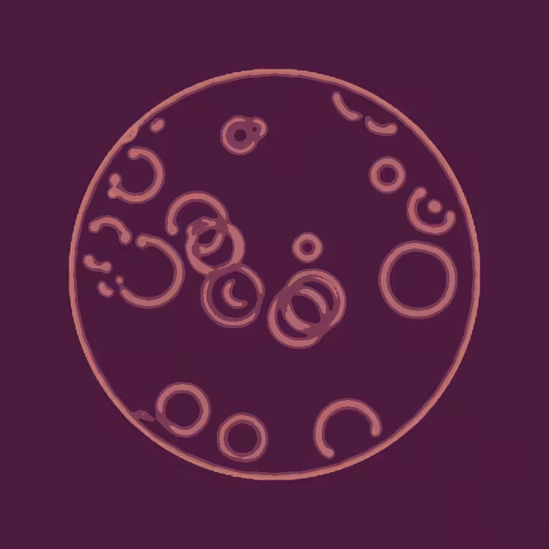 Cheap Petri Dish #31