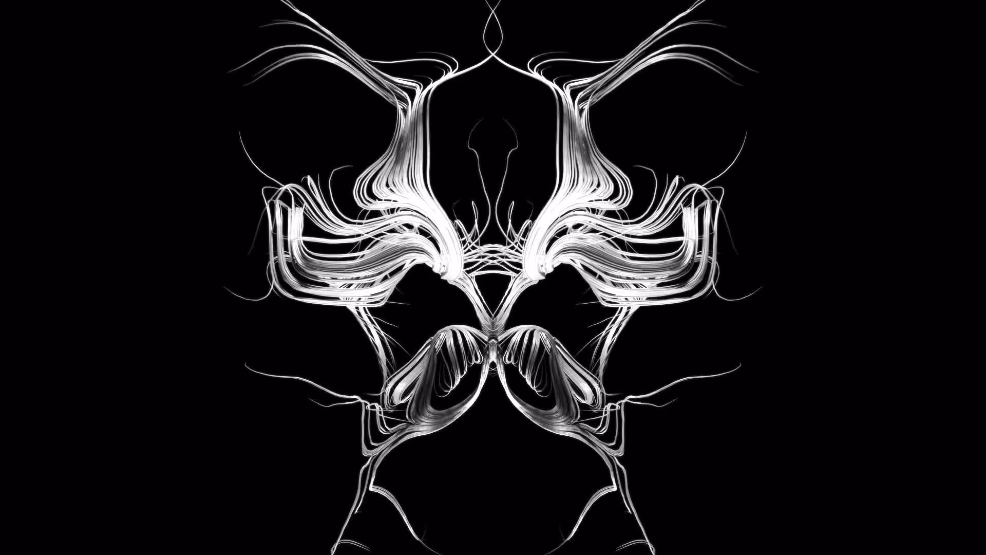 Entropy 11