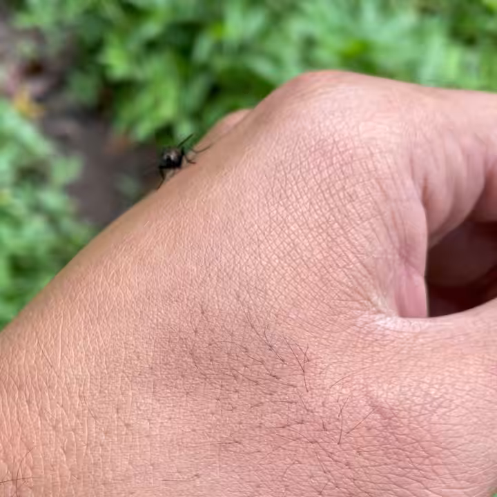 MOMENT #18 - Fly on hand.