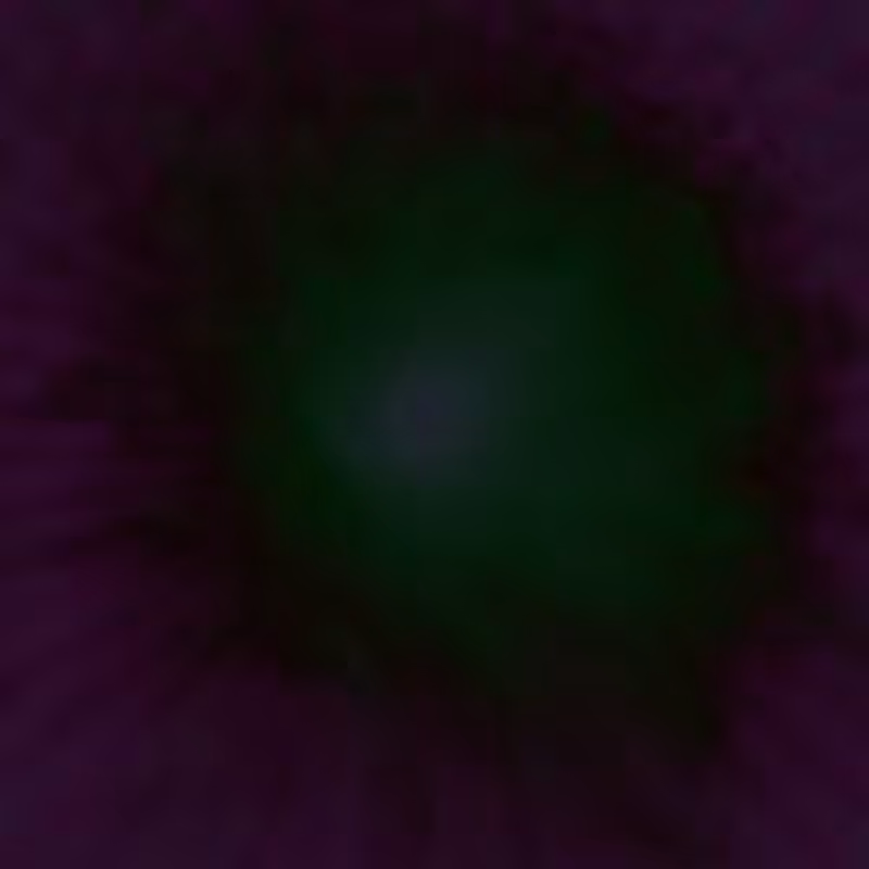 alter me/ #10