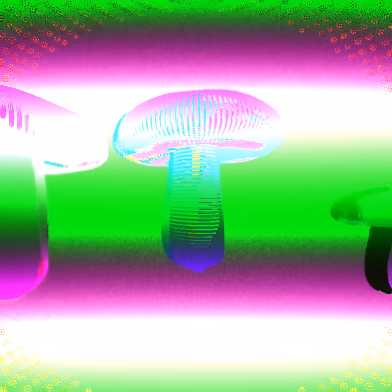 🍄 shr00mz 🍄 #32