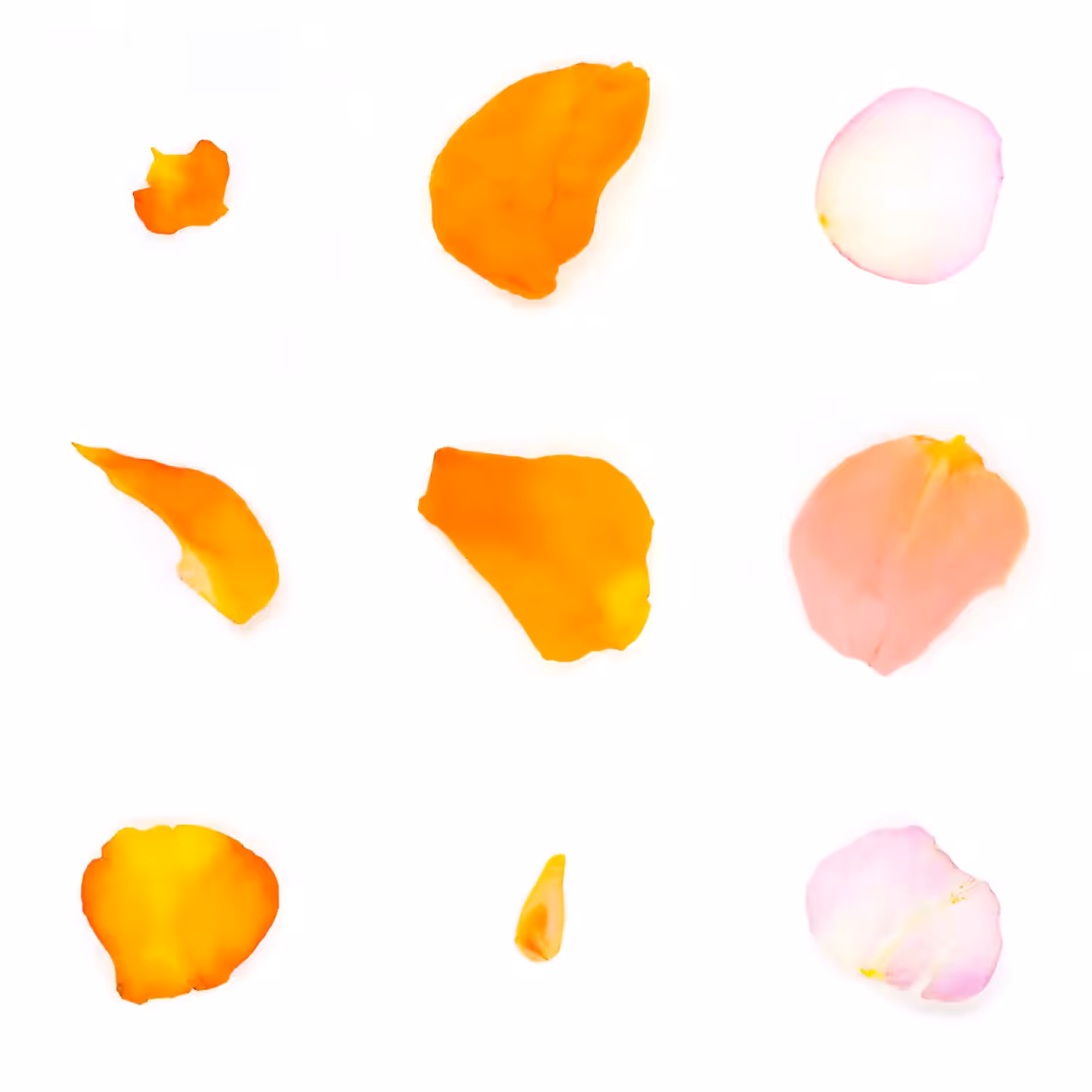 Infinite Petals 3x3#973