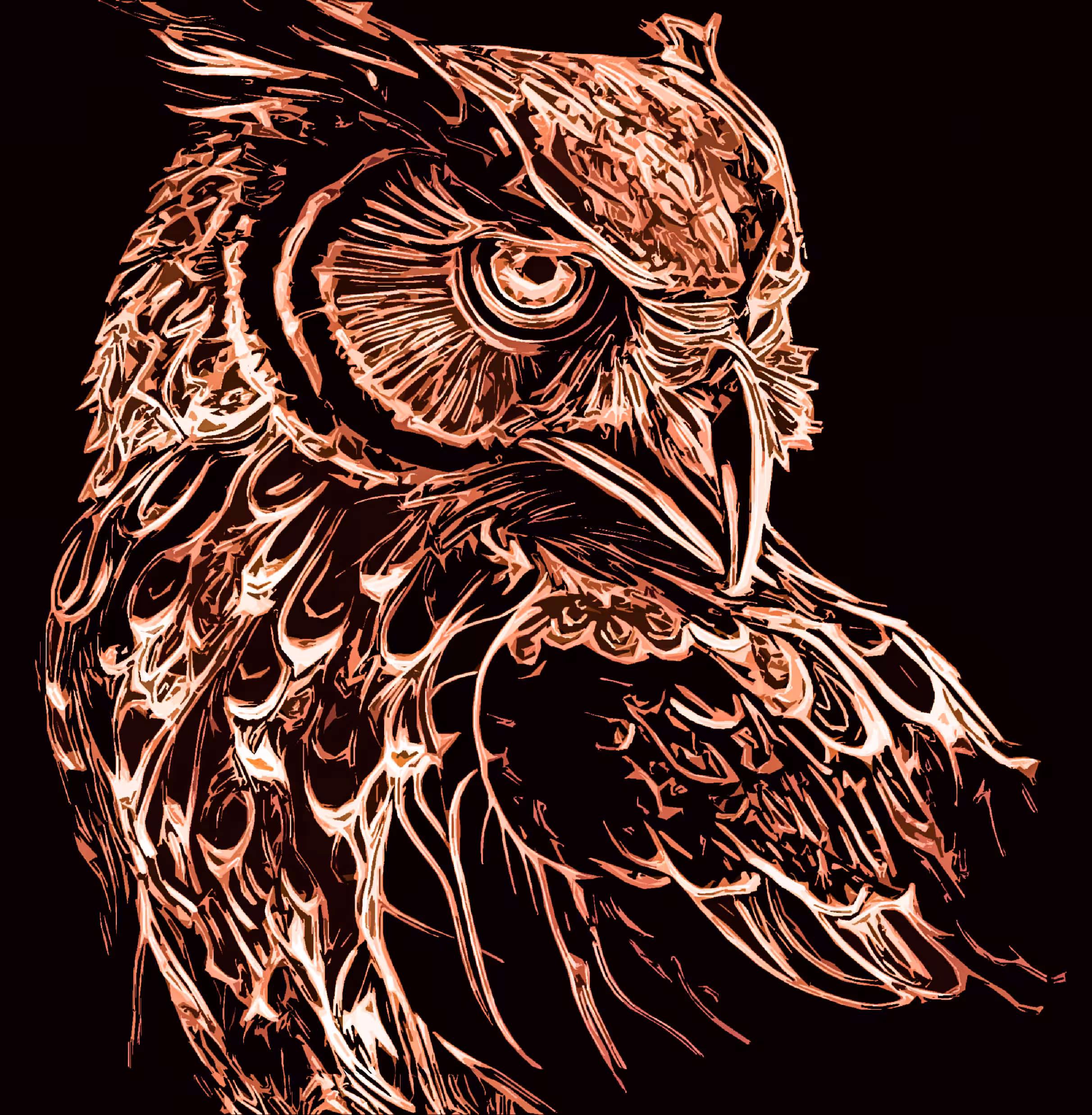 magic bird