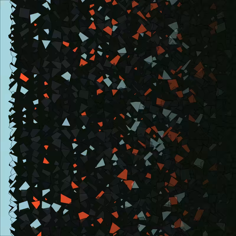 Debris #81