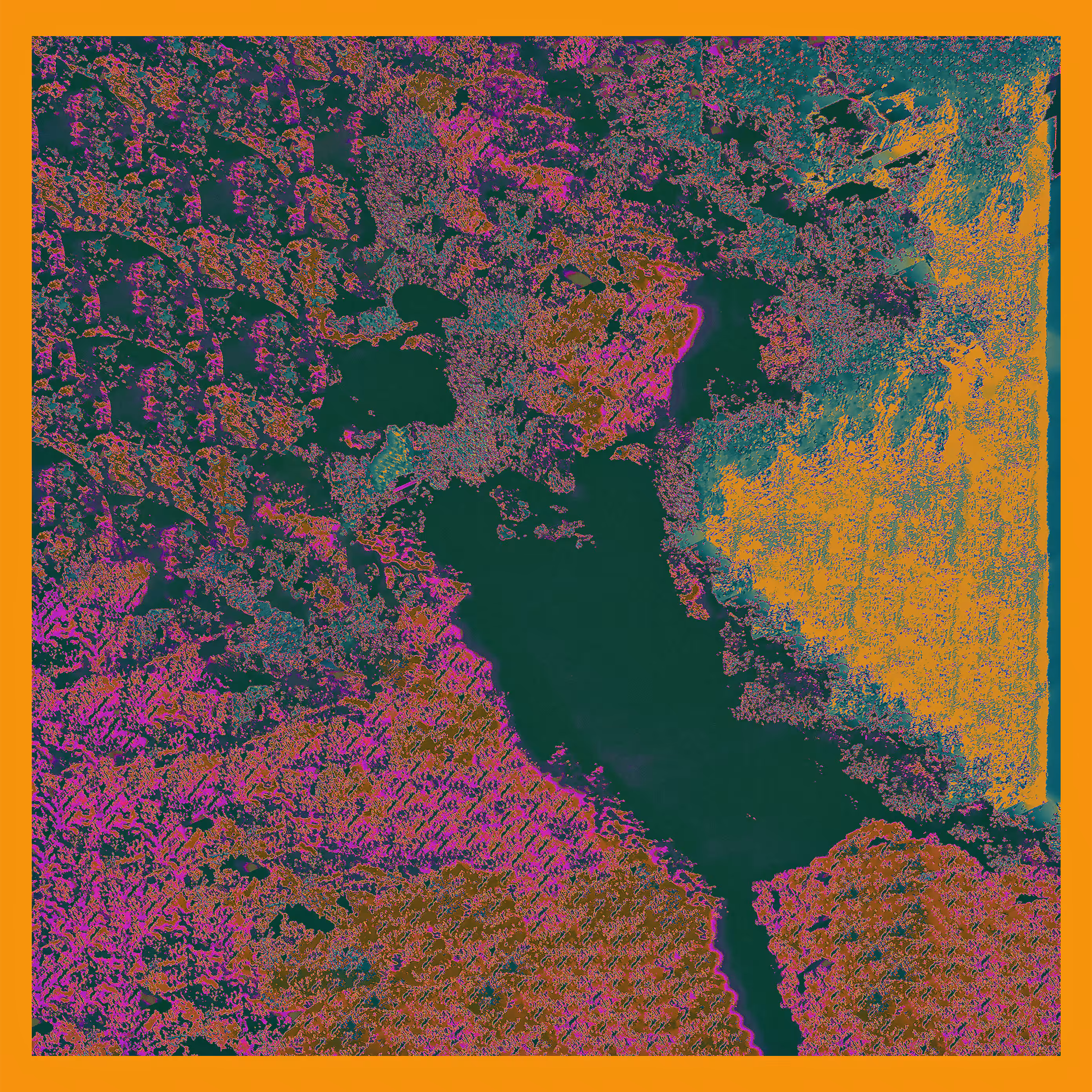 Wildflowers XXIX