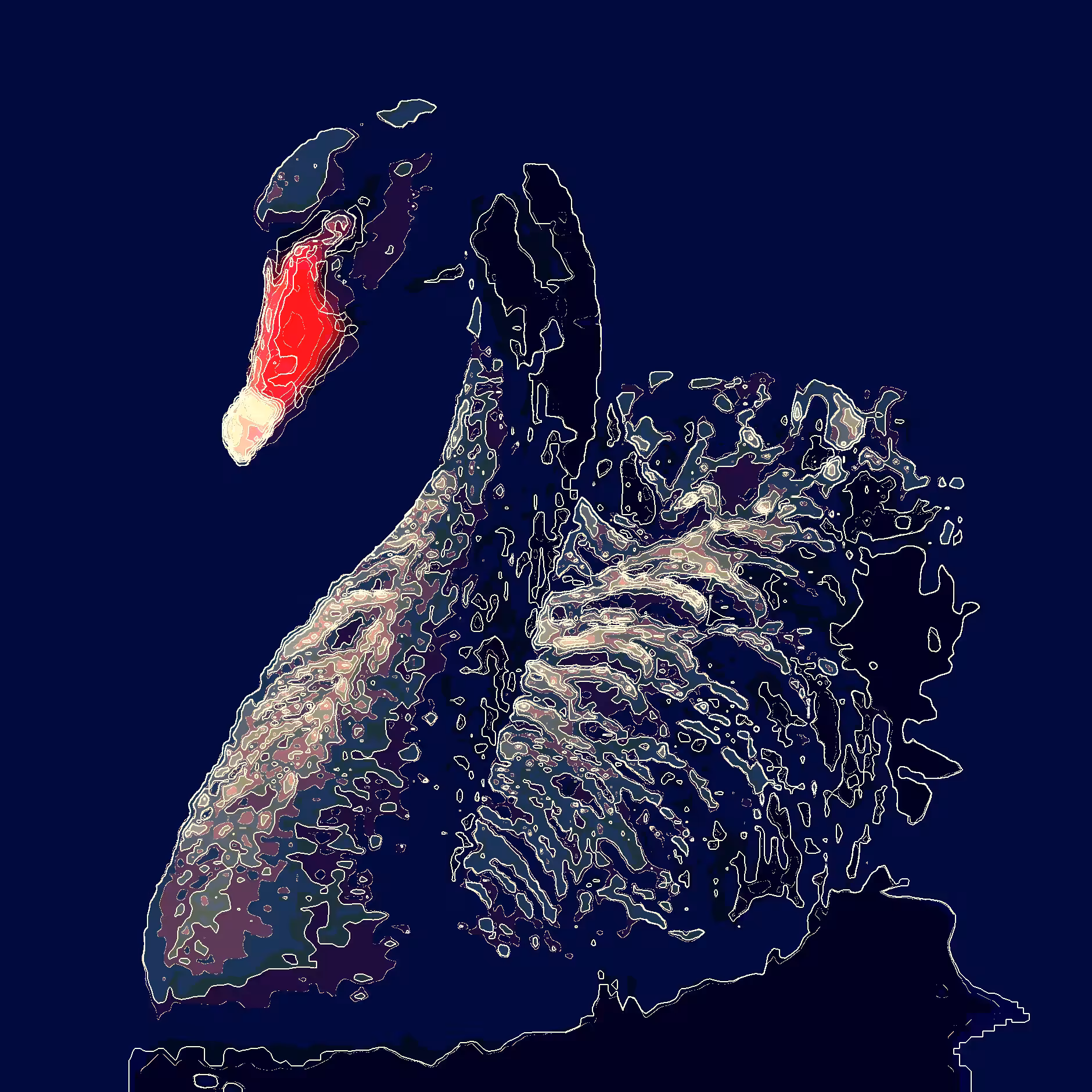 Black Swan Event