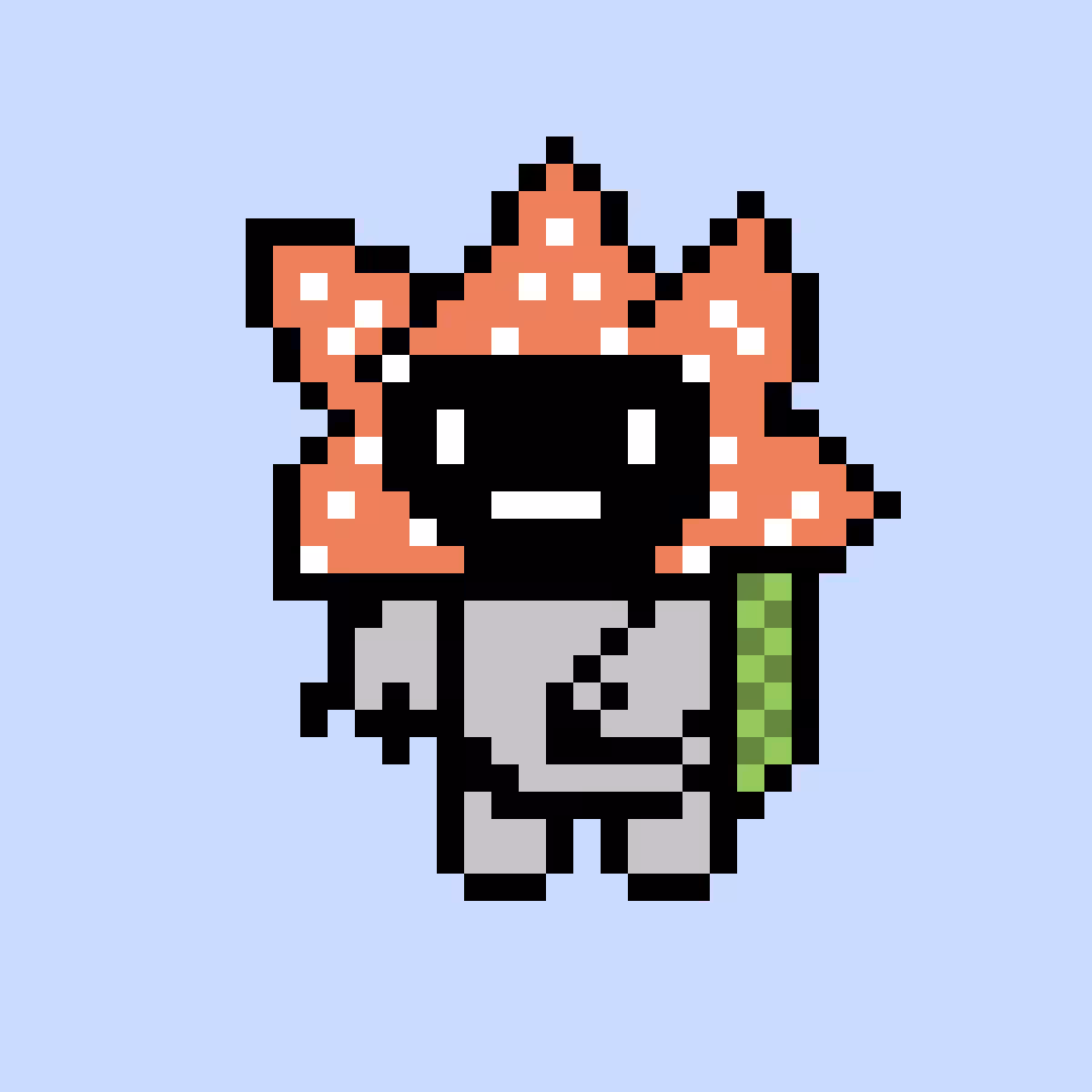 TurtleBit #006