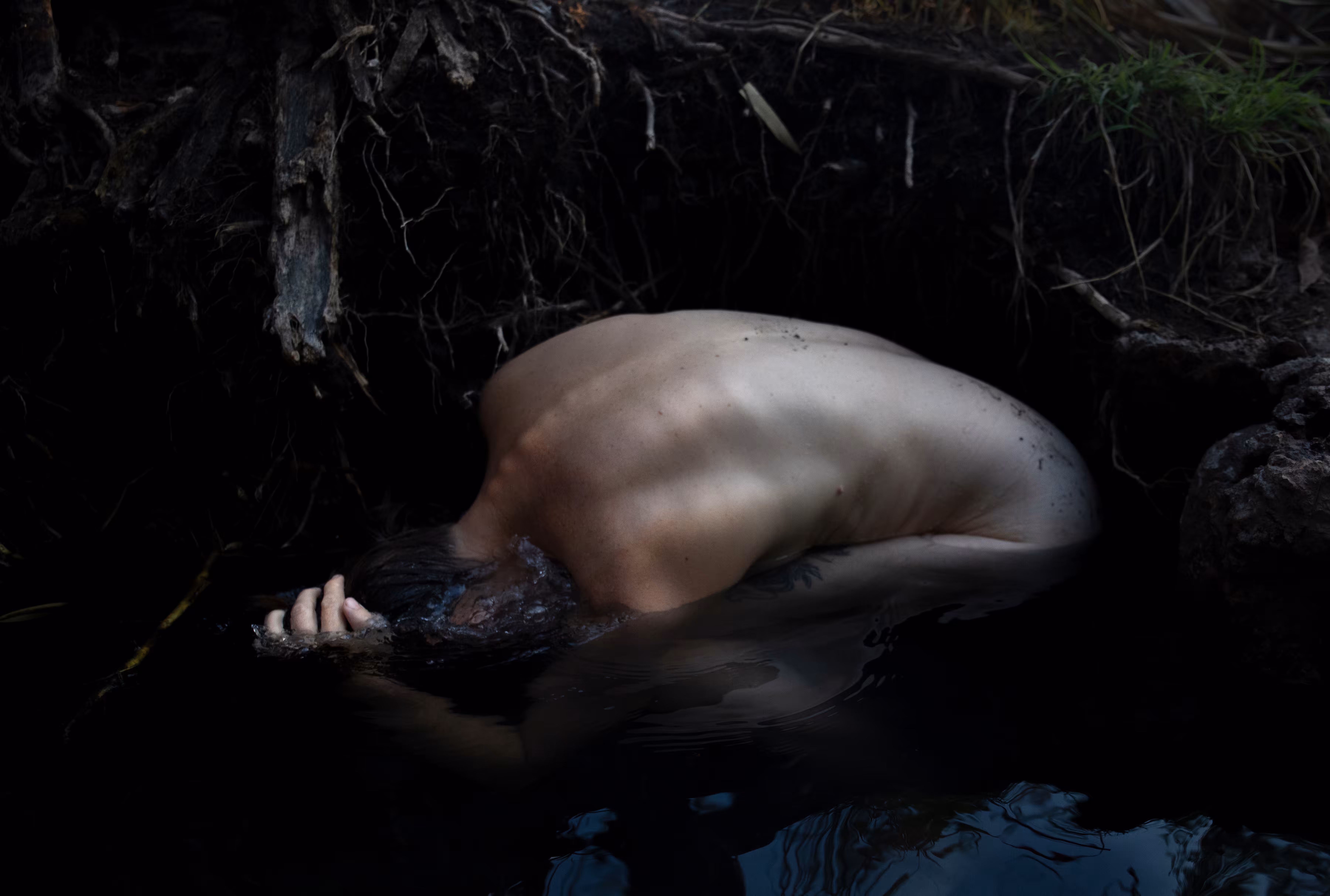 Leviathan 