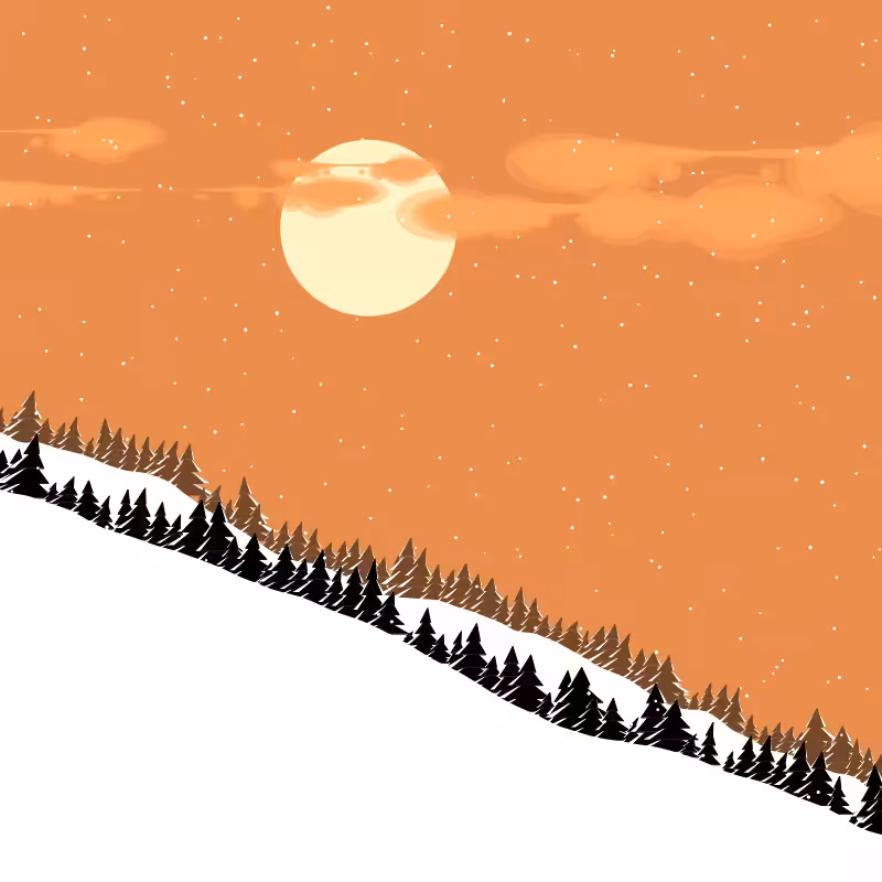 Winterland #12