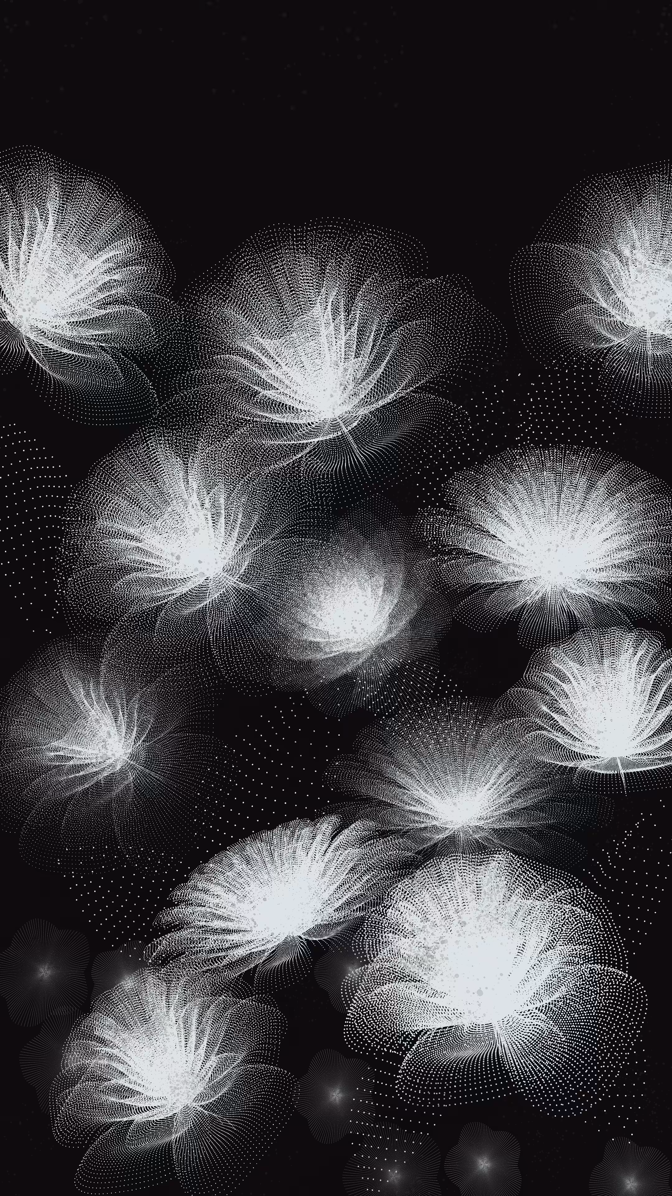 Flower Study #8