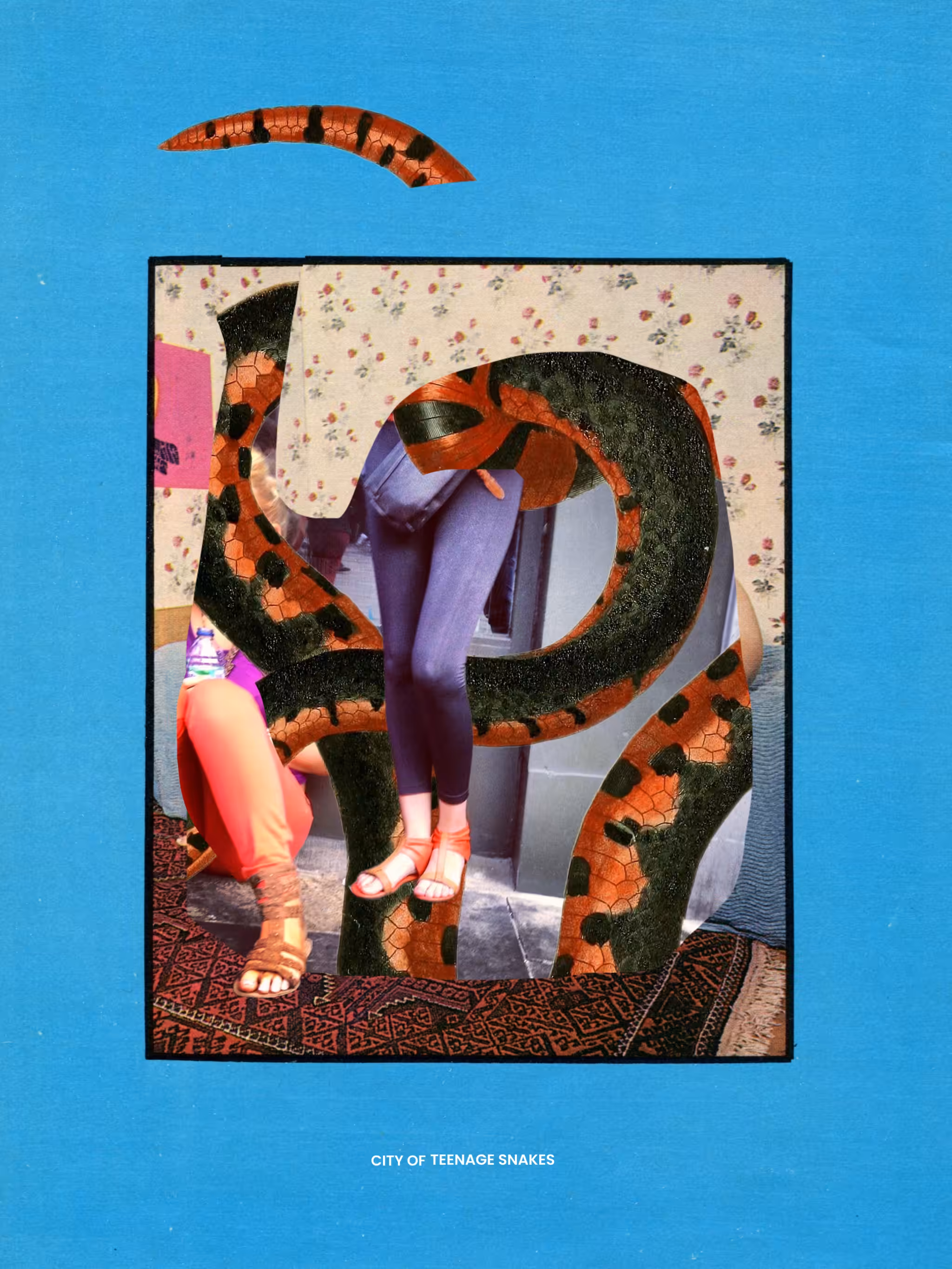 SCHWANZ PARADE : CITY OF TEENAGE SNAKES