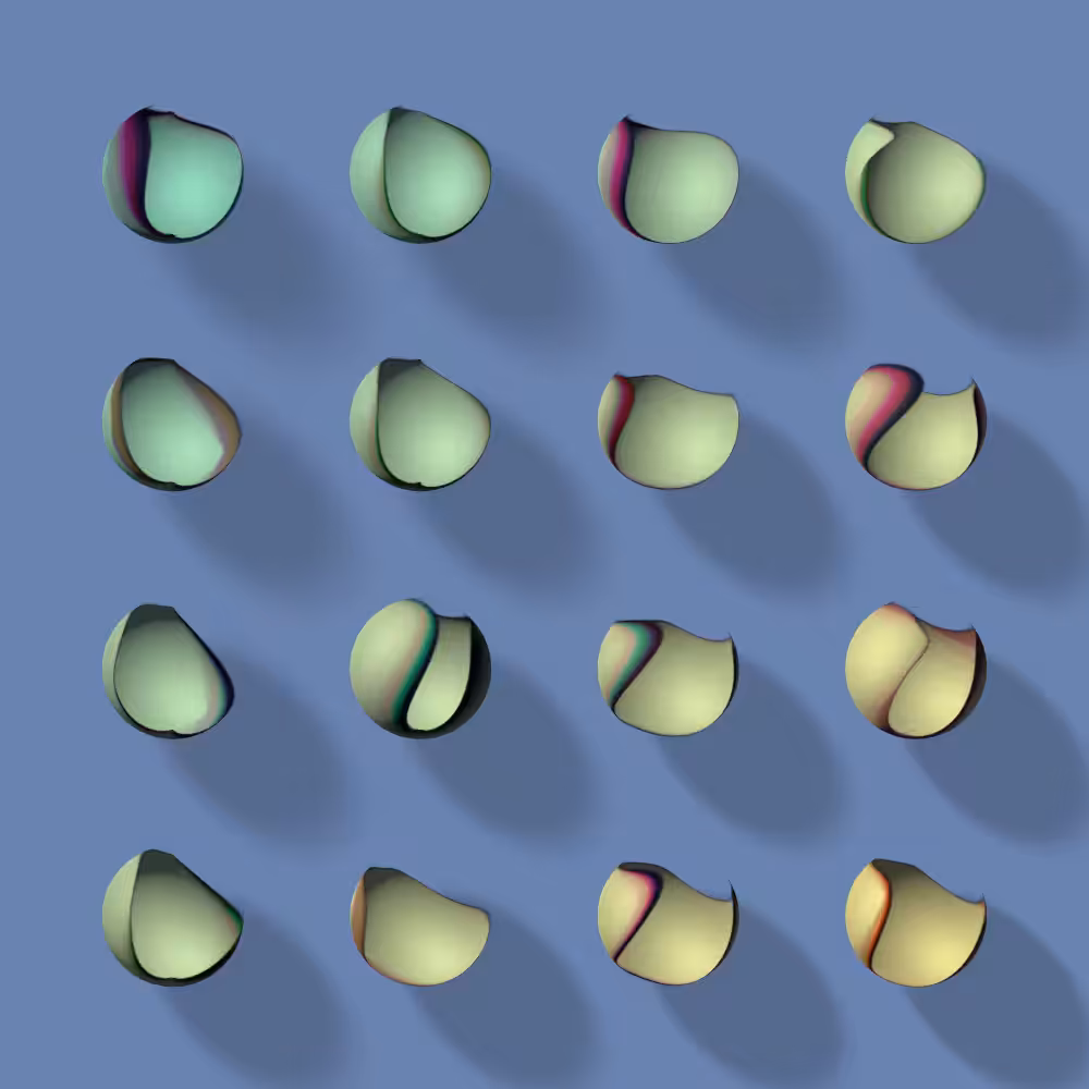 Study #1: Lamina #5
