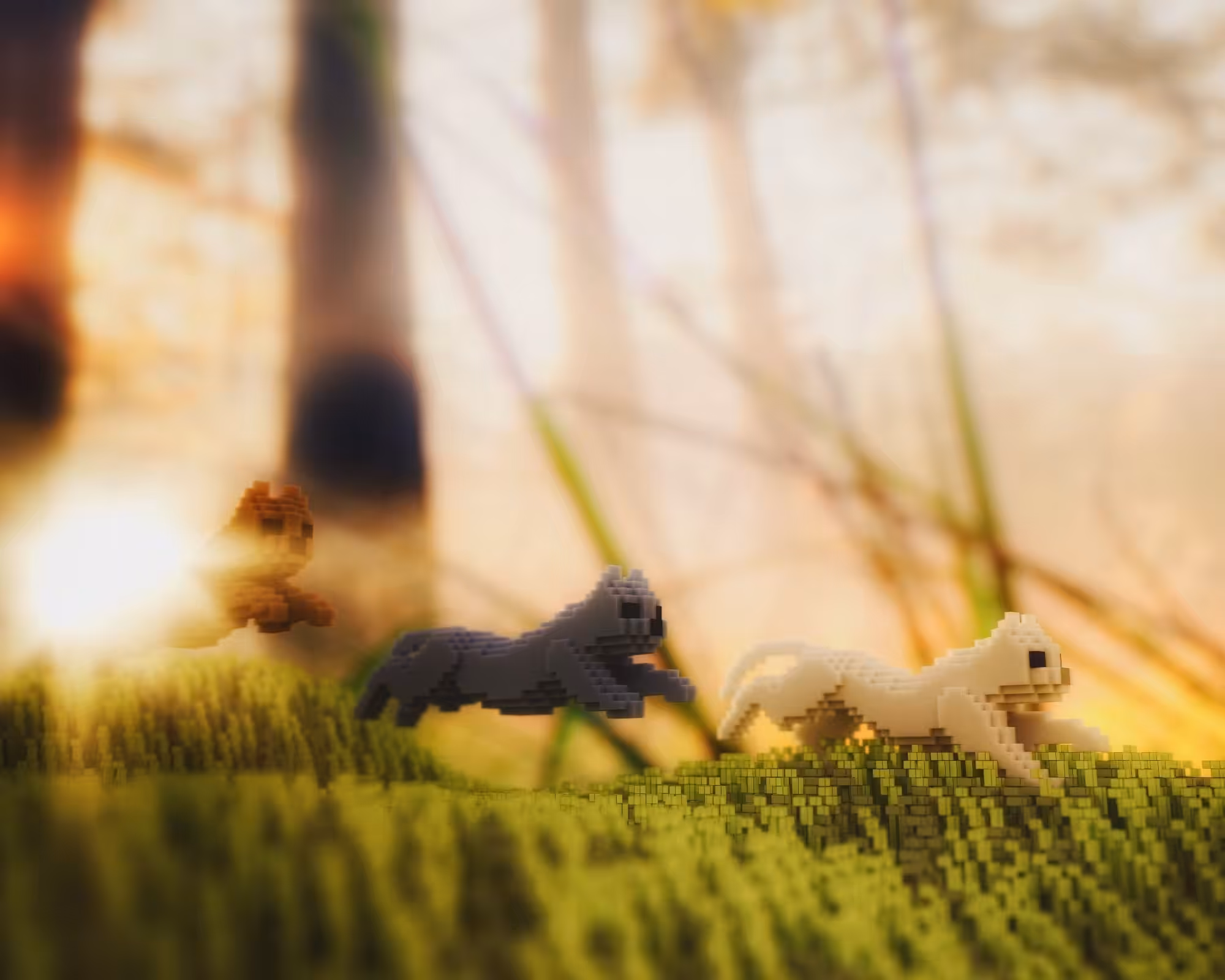 Cat Pack