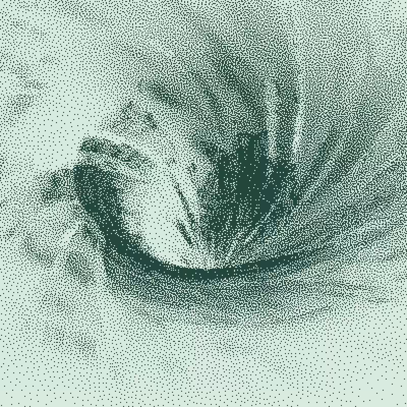Down the Drain #148