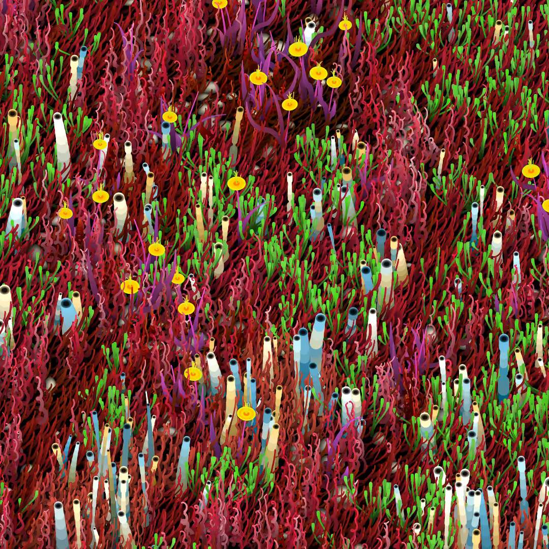 Noisy Gardens #196