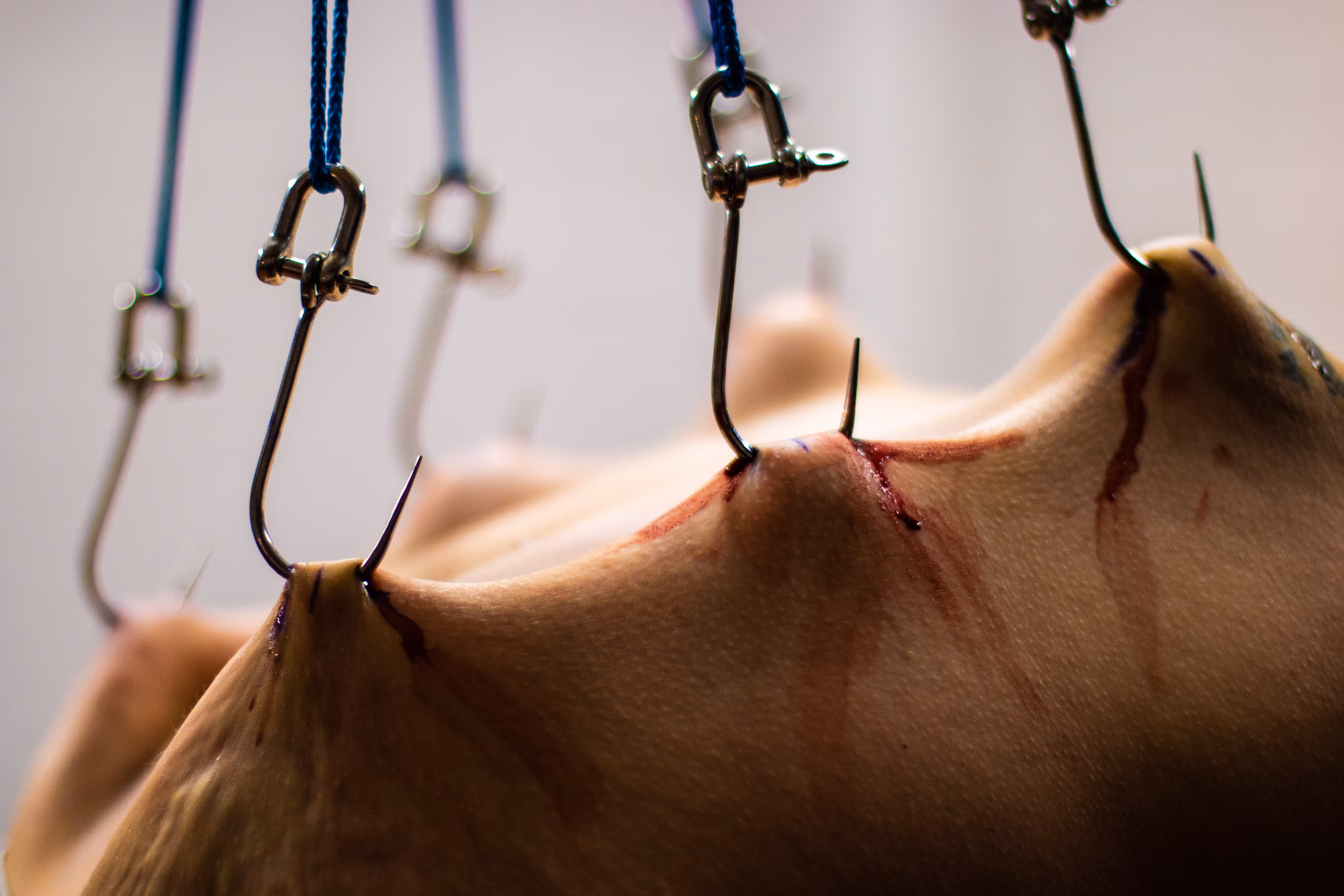 Visceral Topography - I
