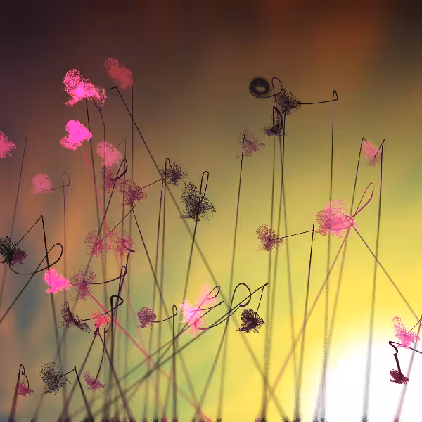 Cottongrass #29