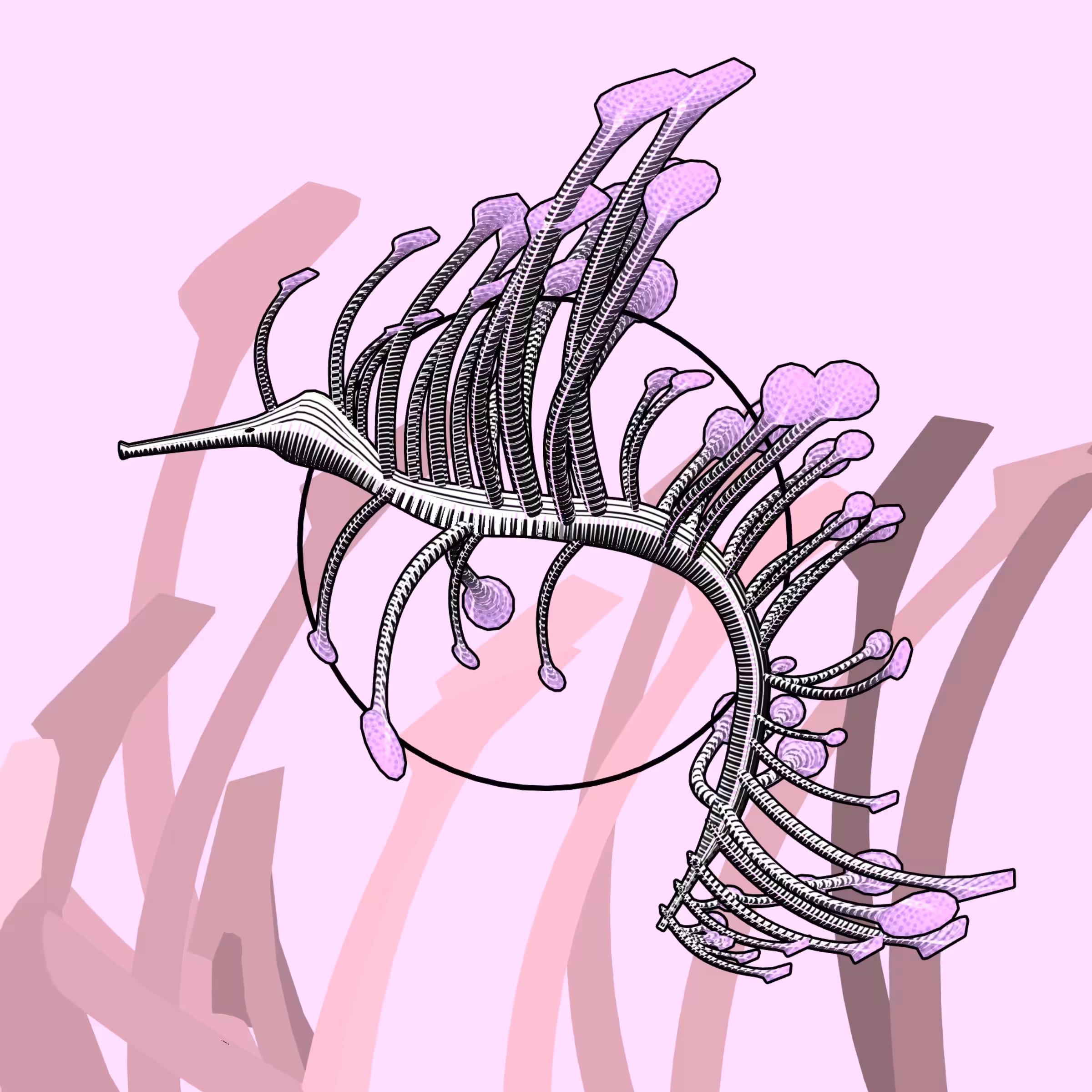 Seadragons #346