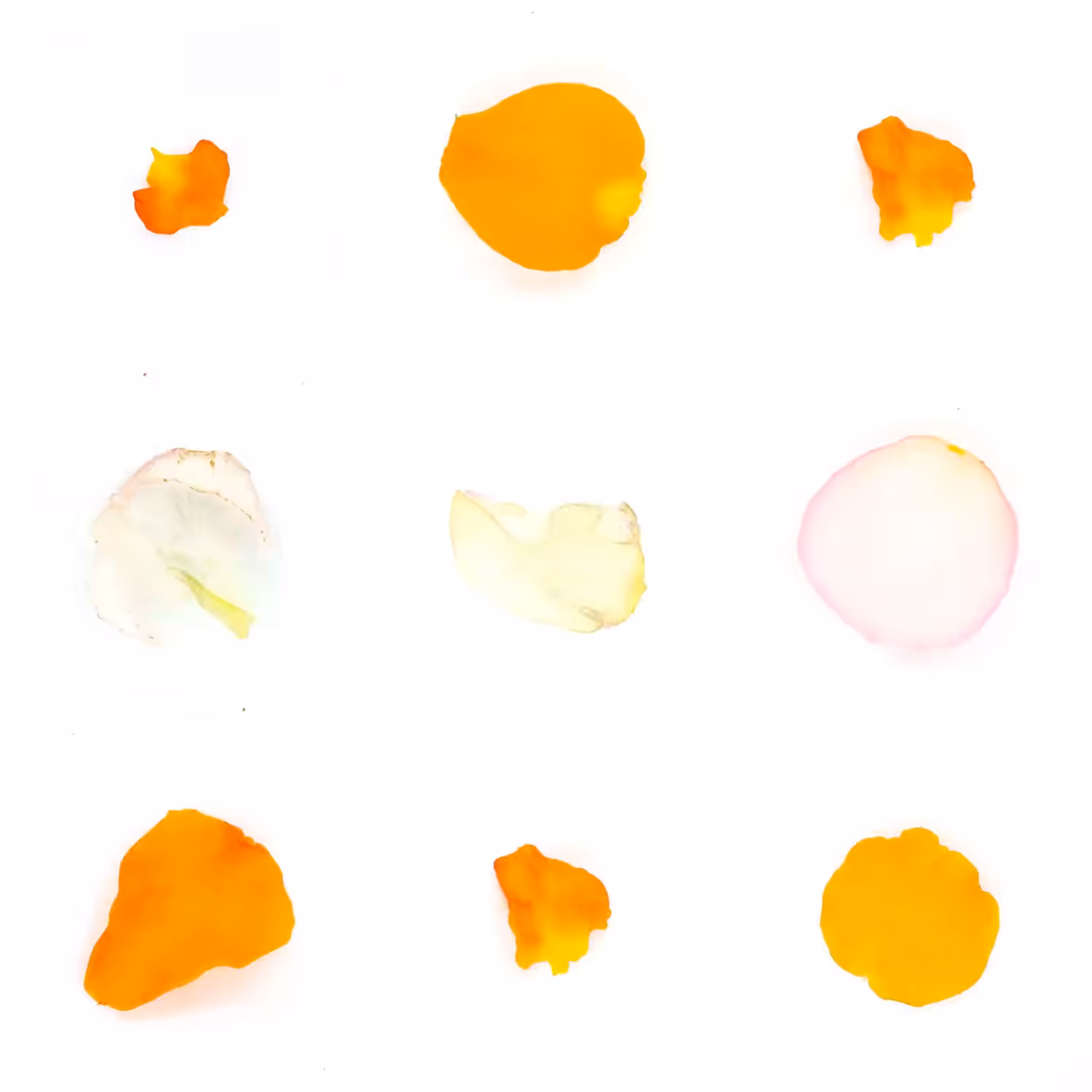 Infinite Petals 3x3#20363