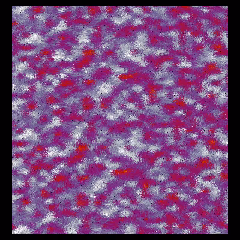 Pigmenta #63