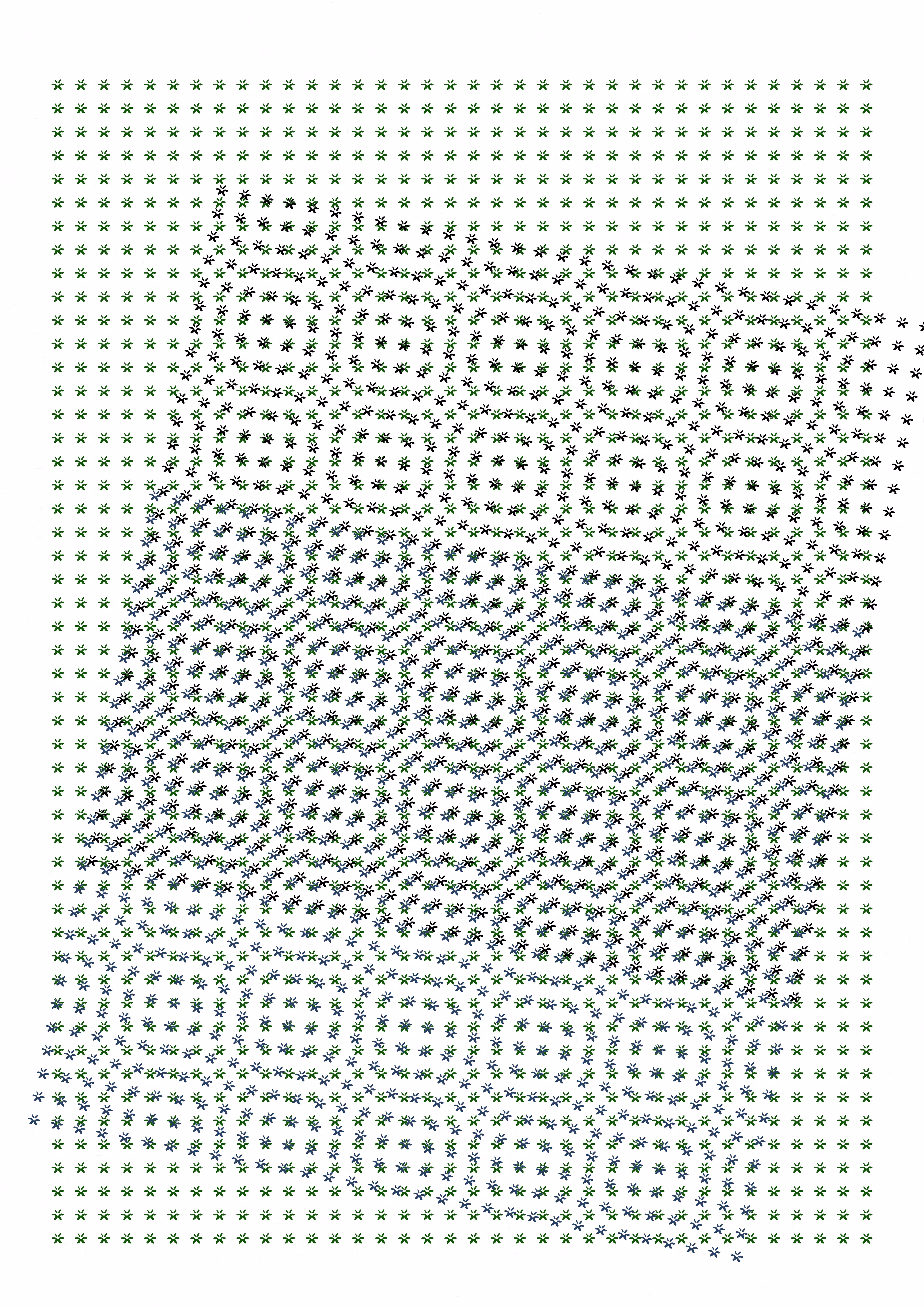 Skewed Impression #6