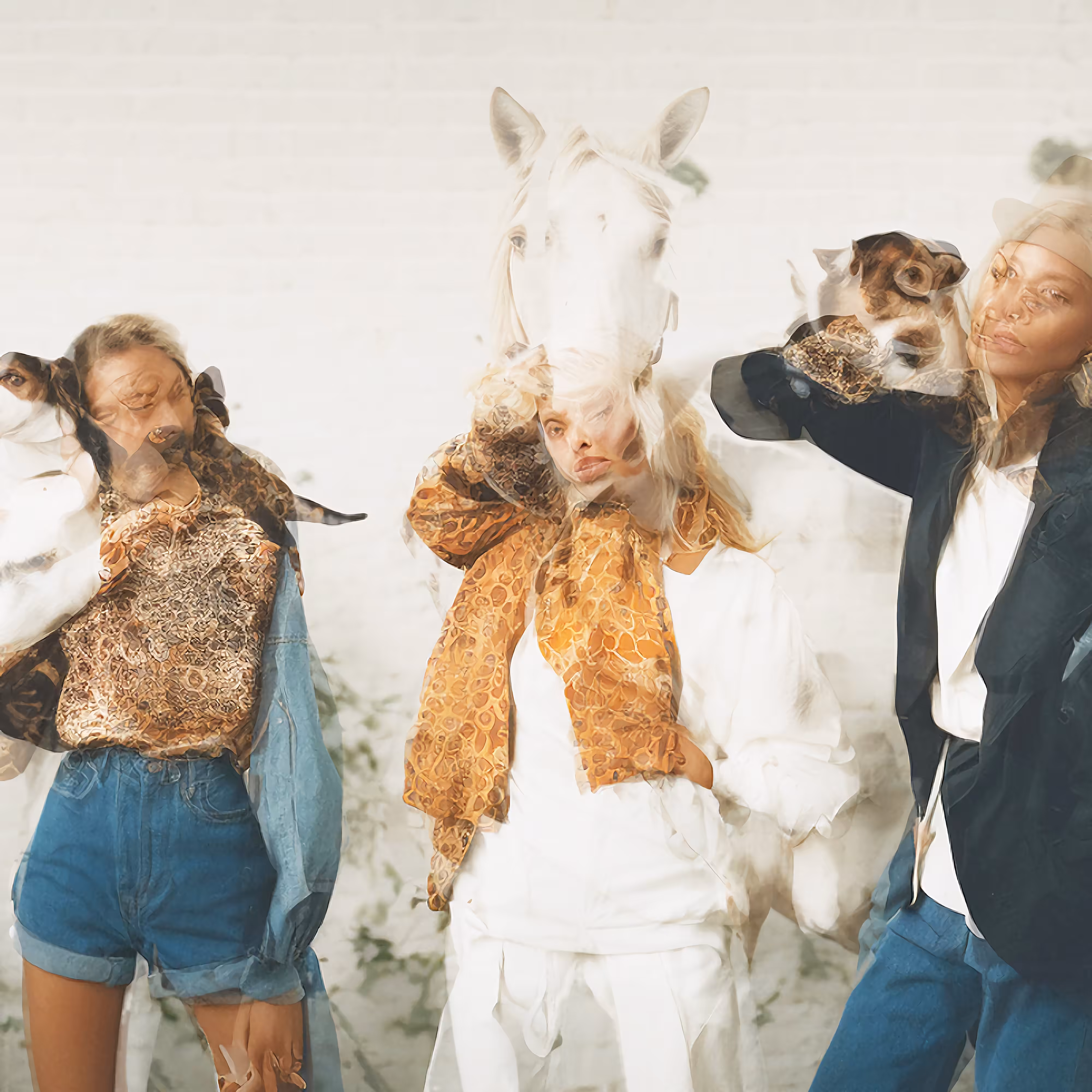 Becoming Horse