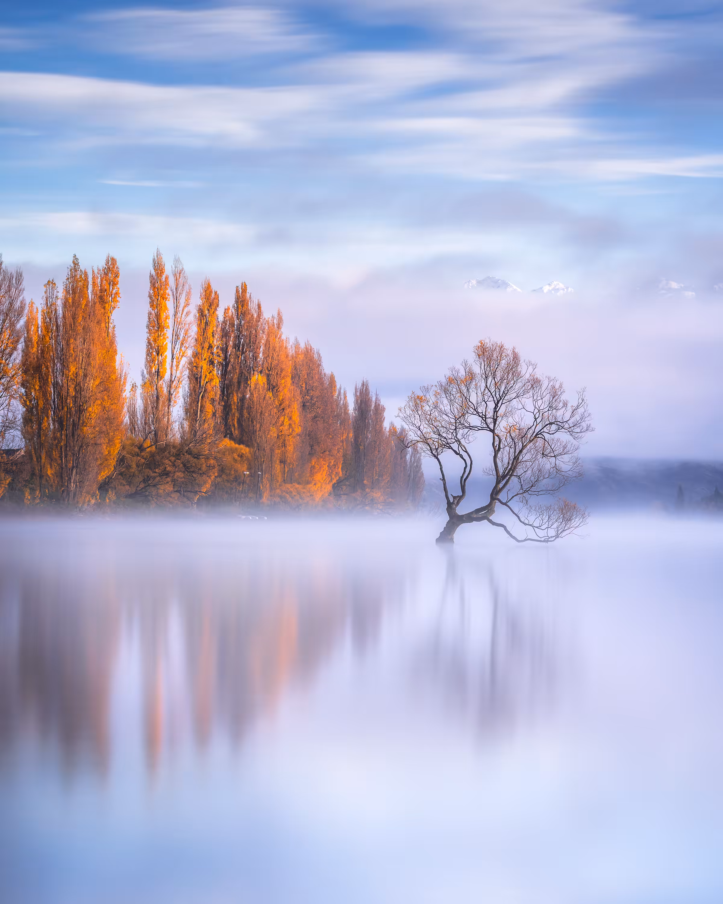 Solitude 