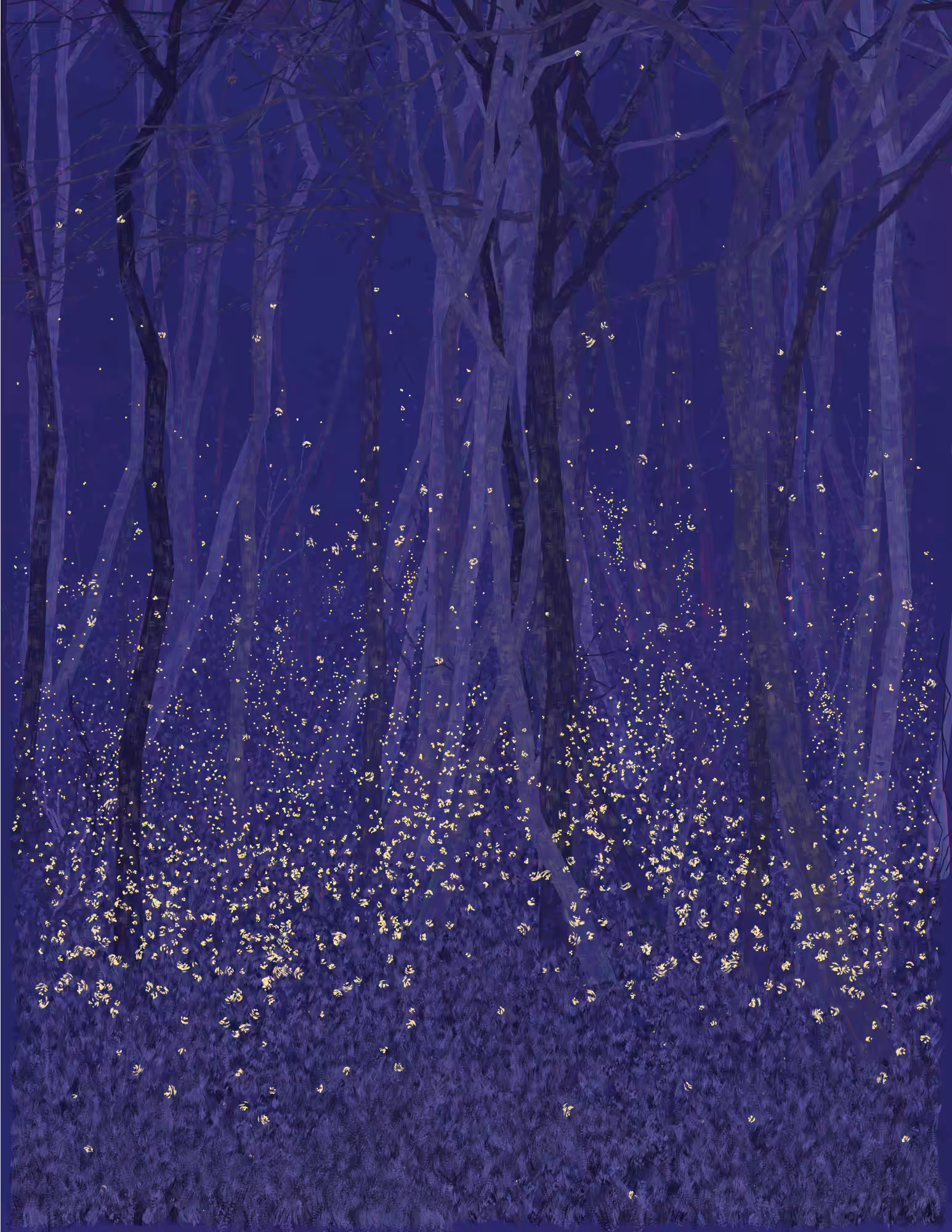 Deep Forest #230