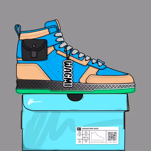 Signature Sneakers Highs #394
