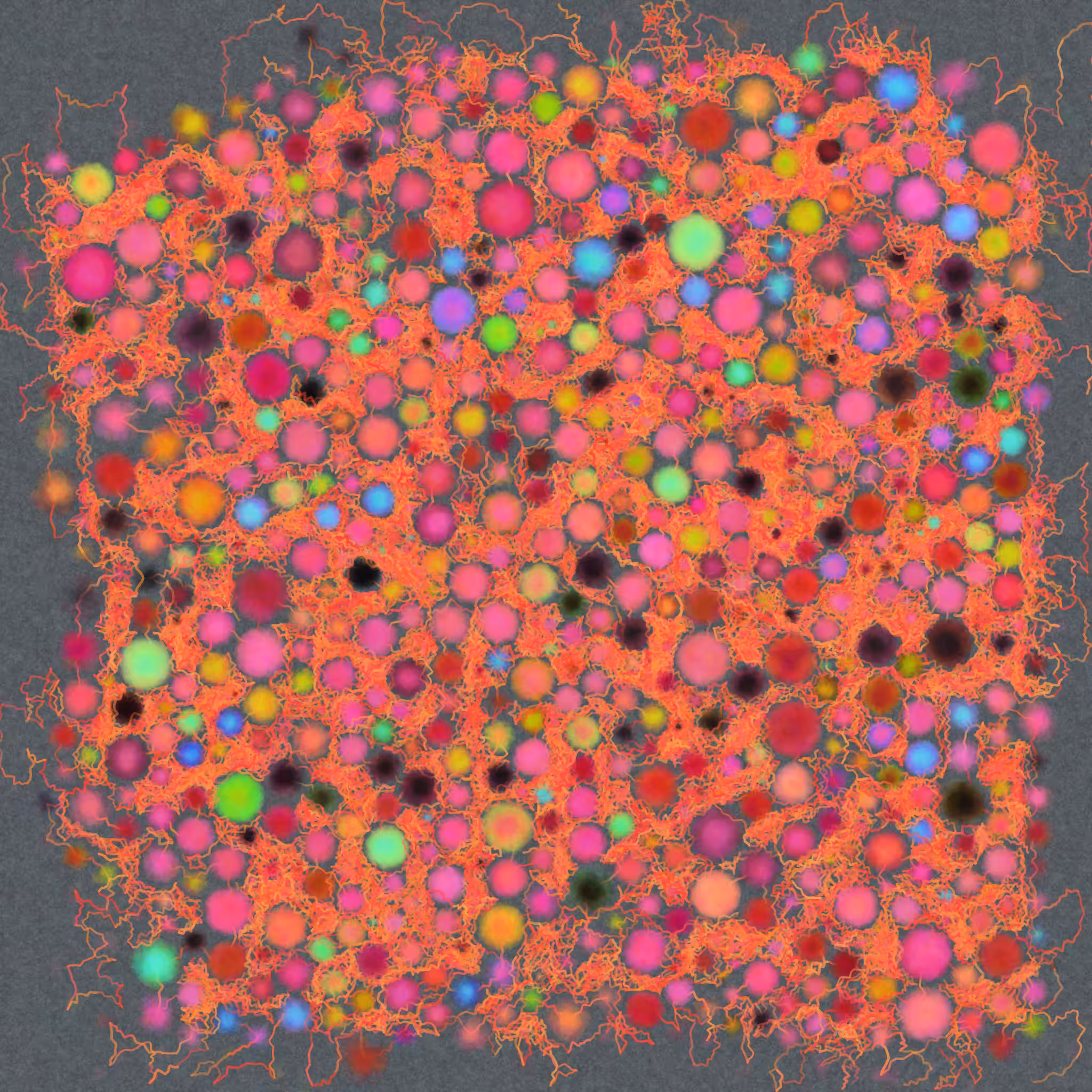 Scribbobbles #19