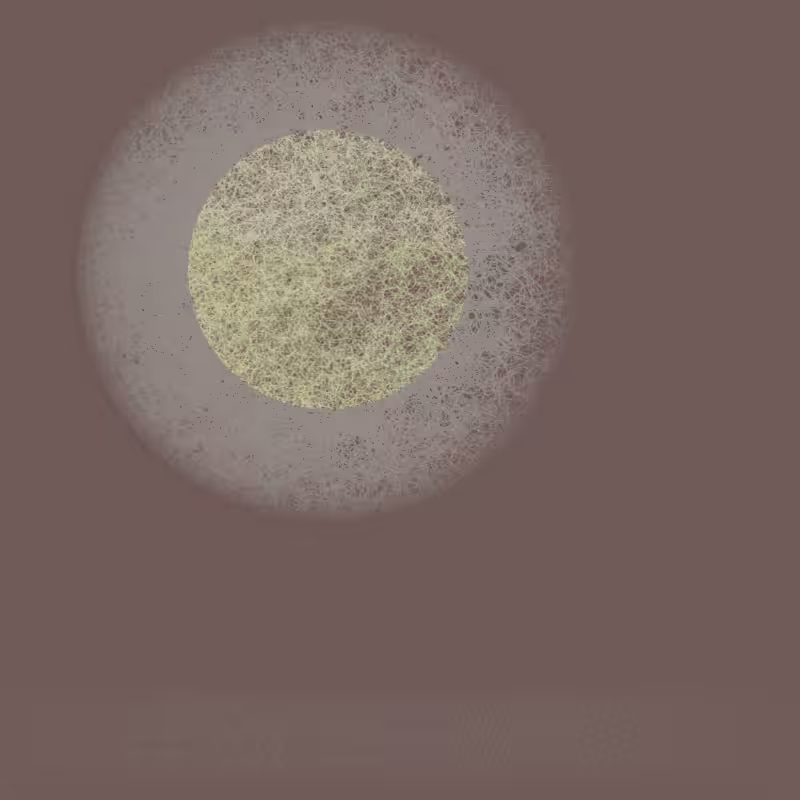 Orbit #127