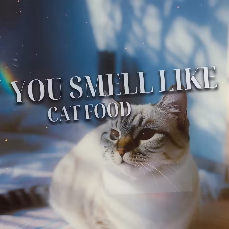 🐟>* ))))><