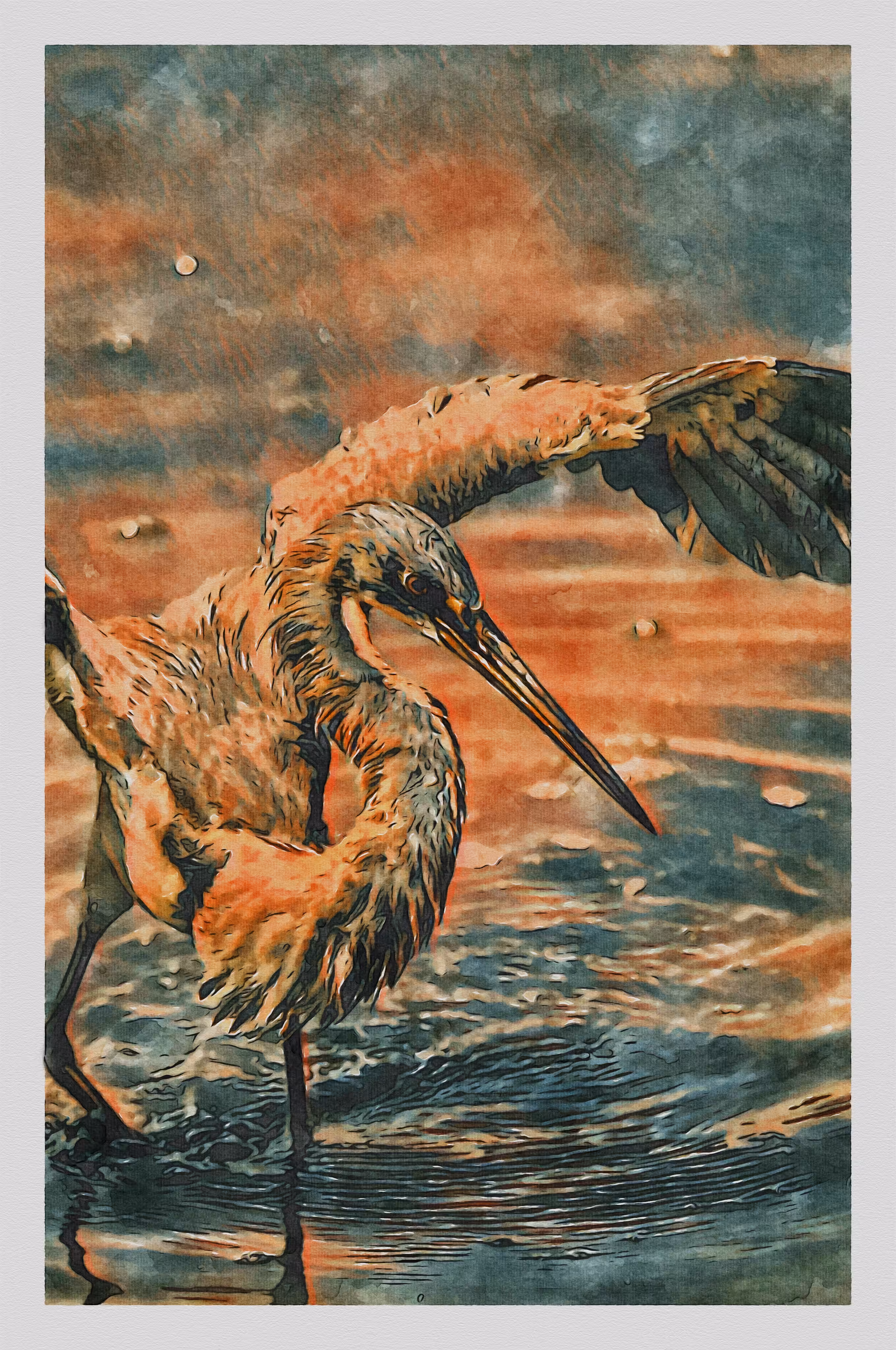 Watercolored: Watercolor - Tricolored Heron 5