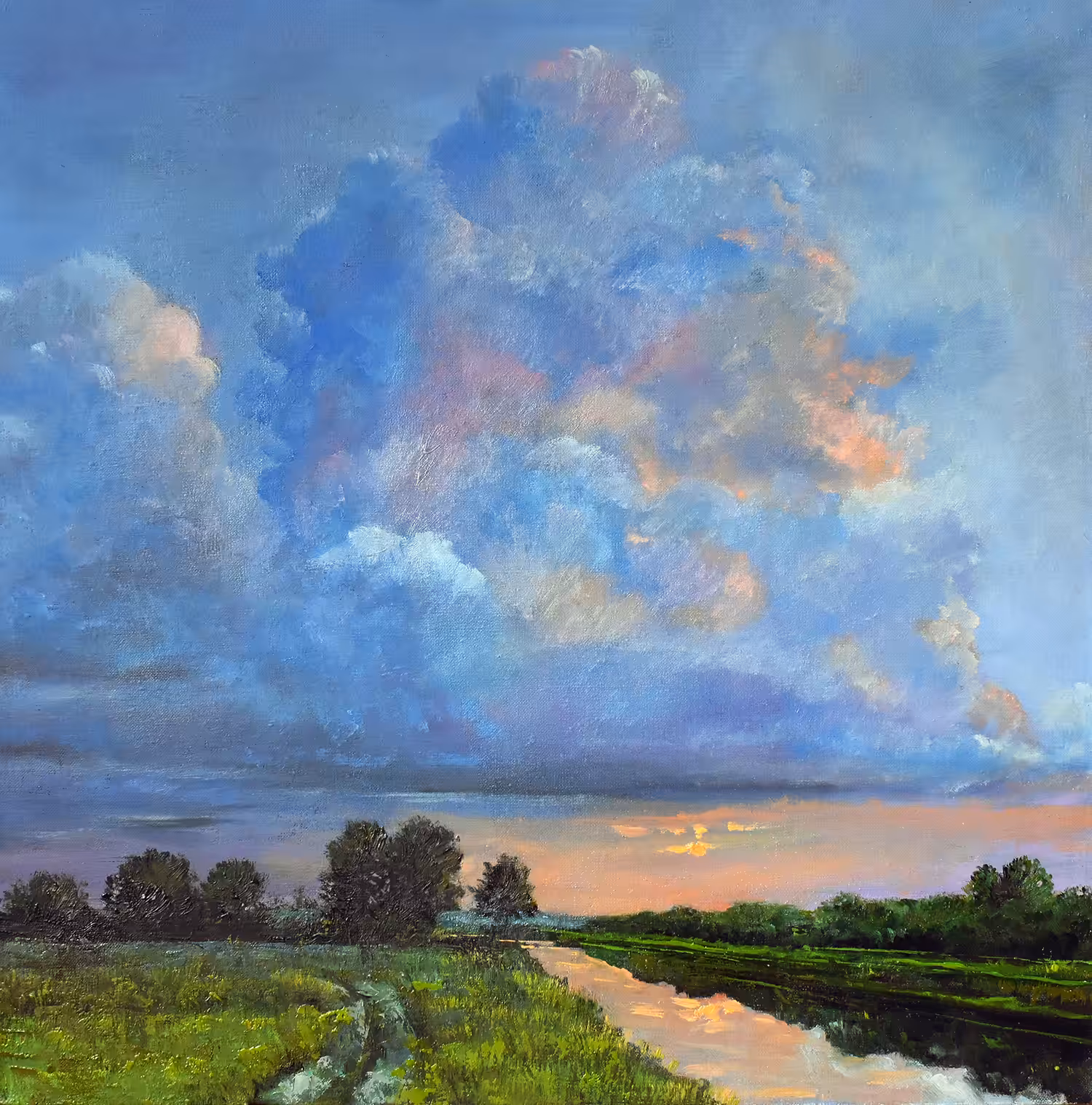 Wetlands