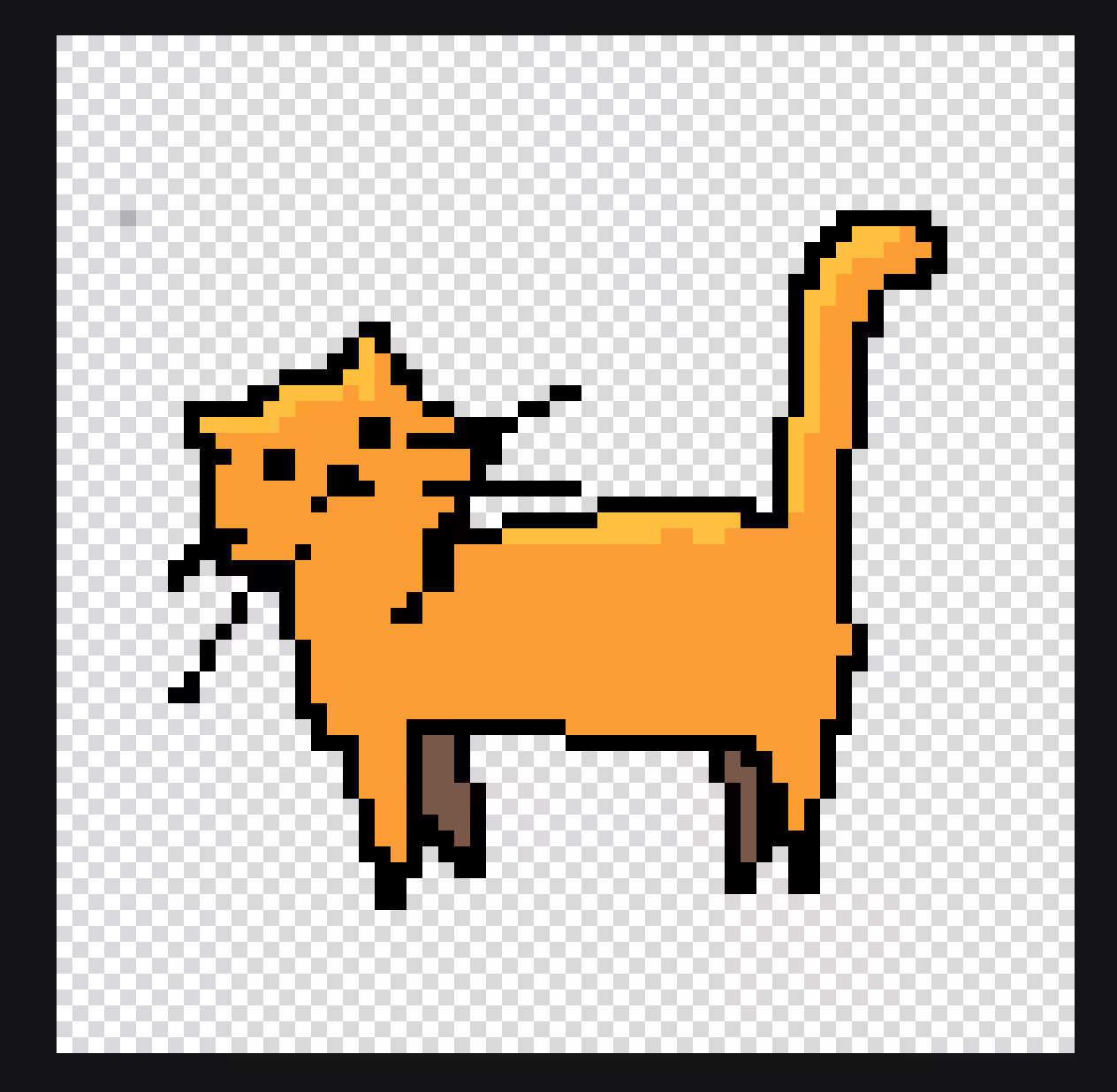 the cat