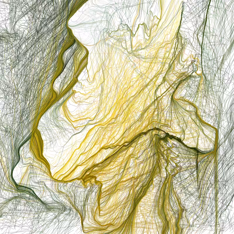 Hypericum #91