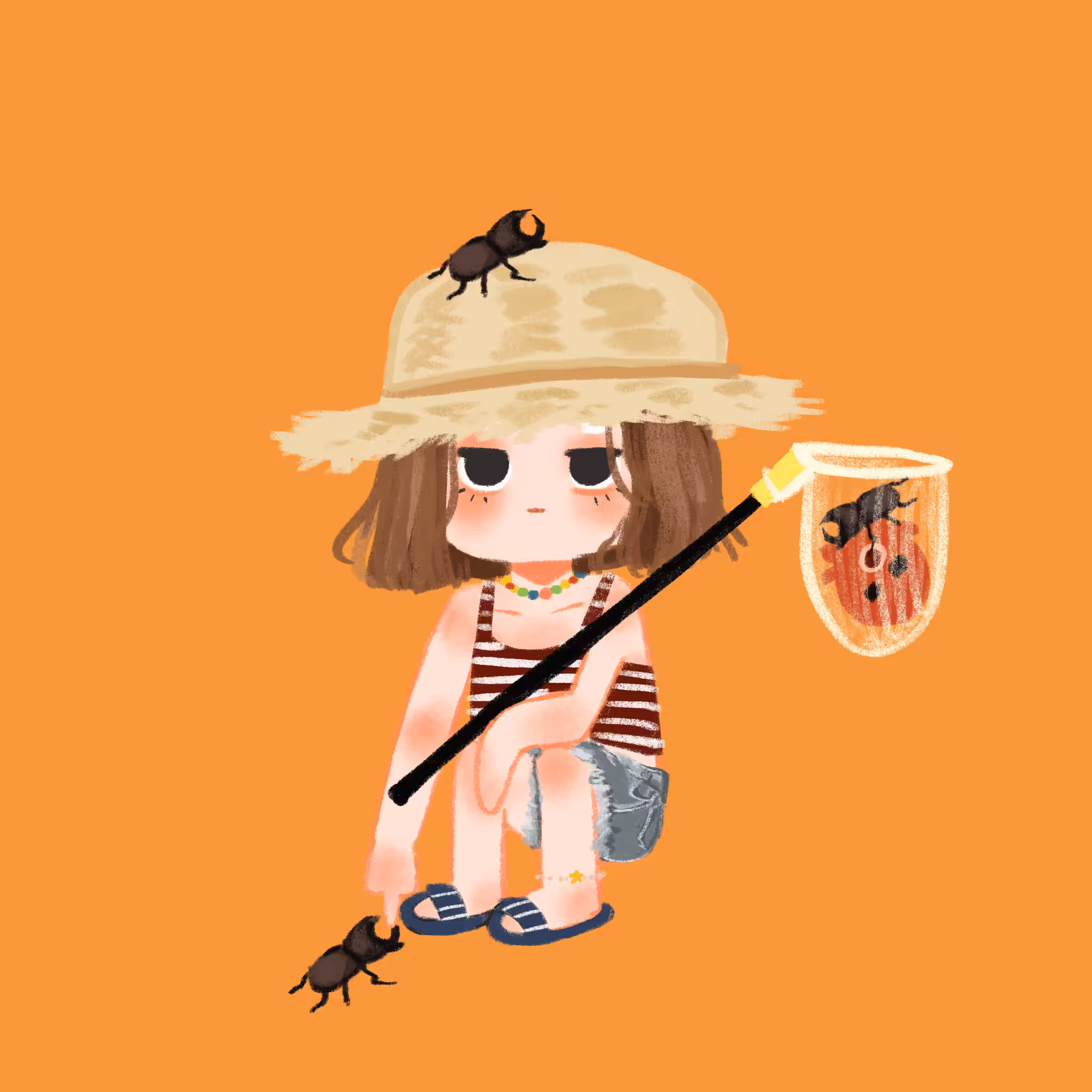 Ruru Beetle catcher