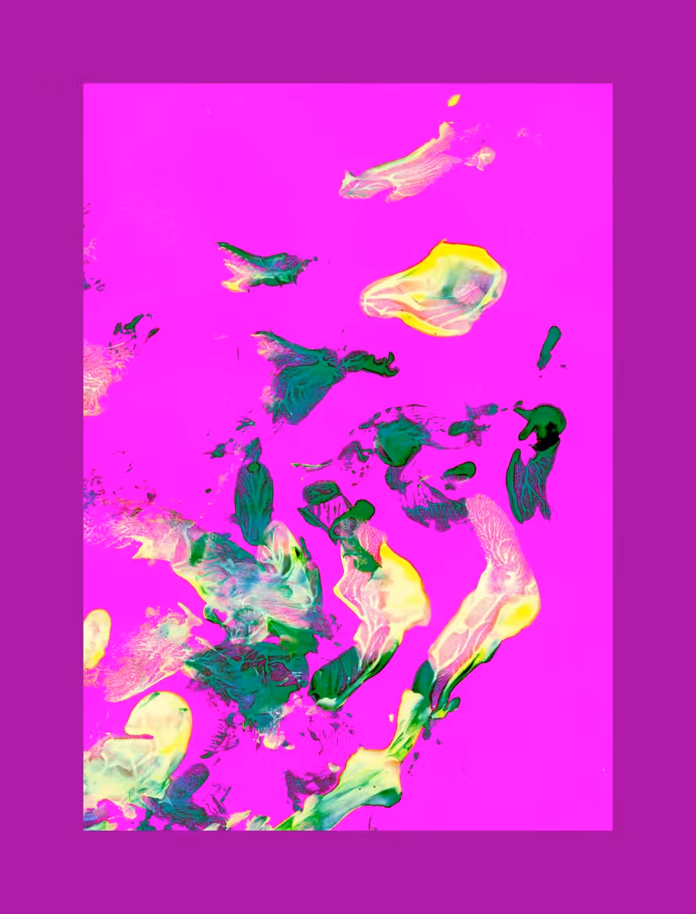 Tulip