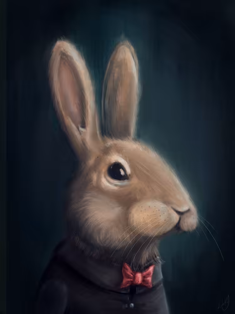 MrRabbit