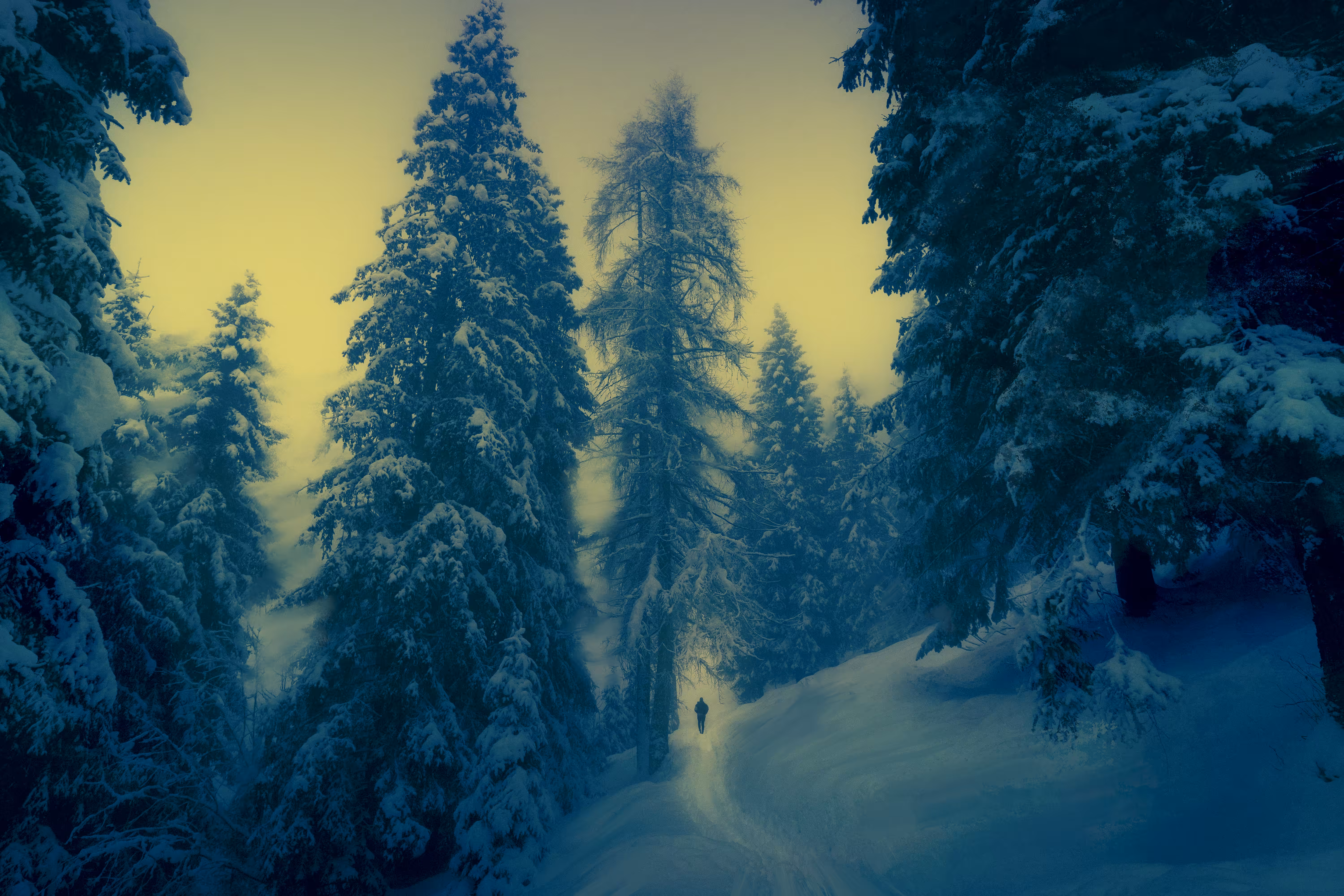 What We Leave In The Cold: The Odyssey